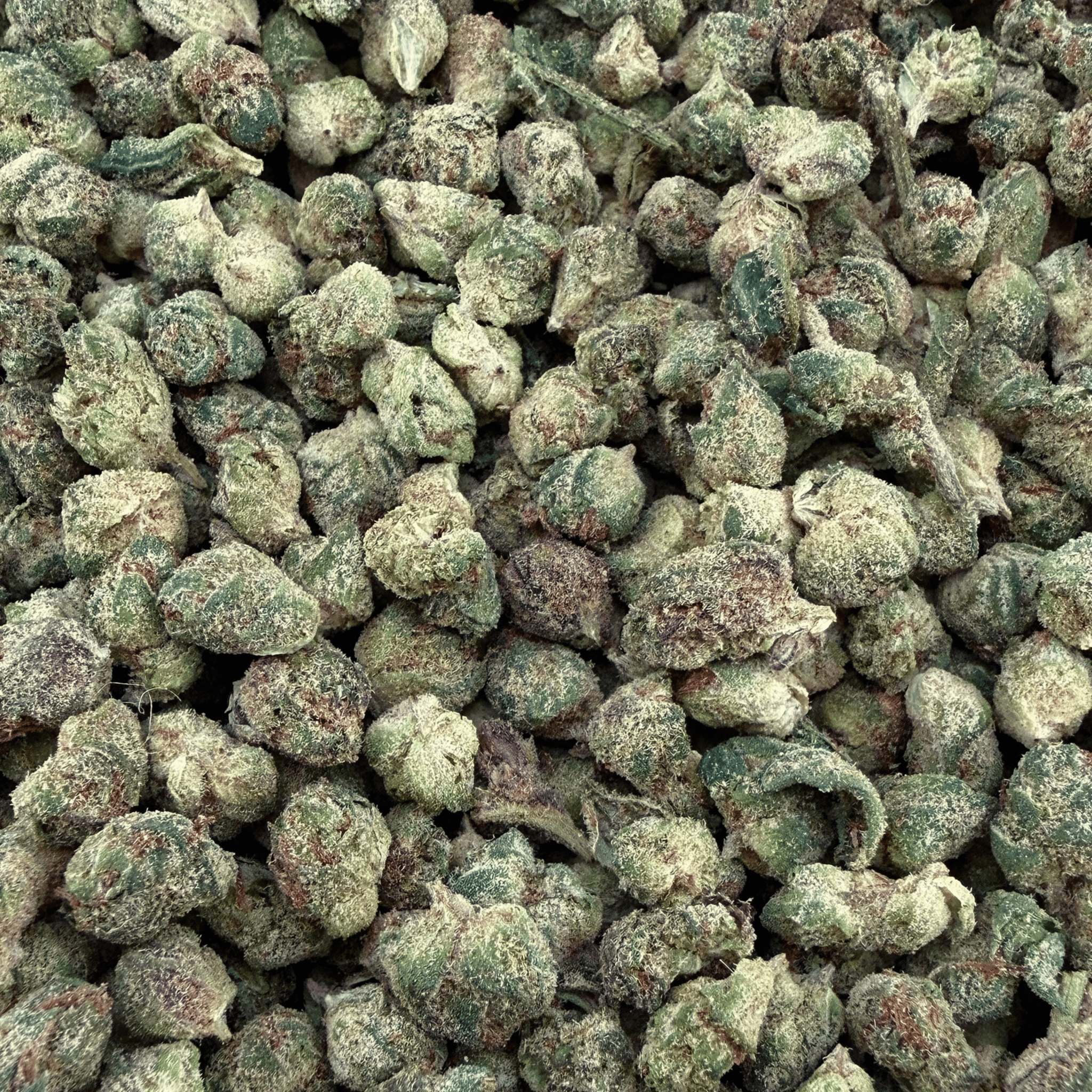 Grandaddy Purple THCa Micro - Valley Hemp