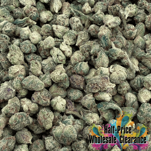 Grandaddy Purple THCa Micro (Half-Price Wholesale Clearance) - Valley Hemp