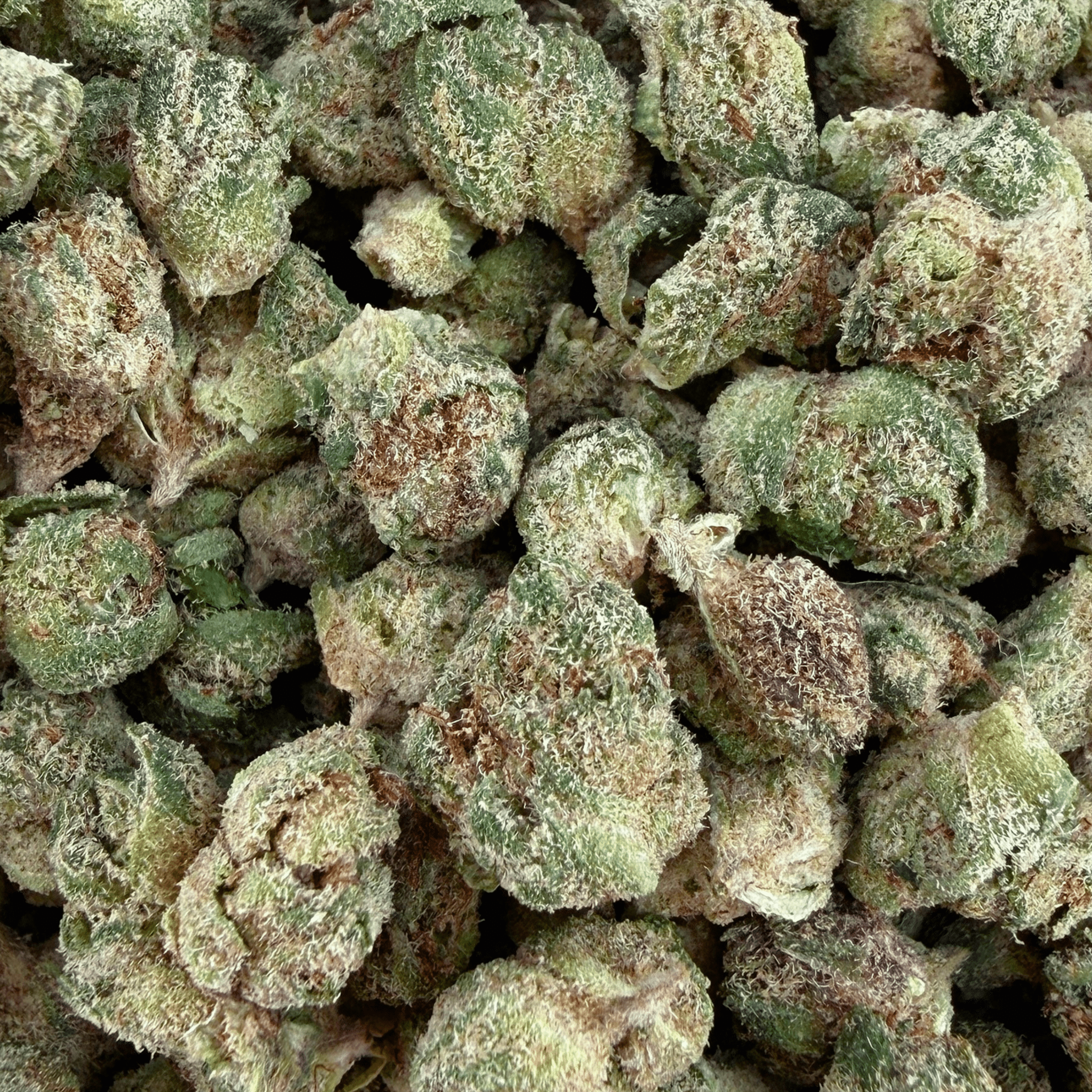 Grandaddy Purple THCa Micro (Half-Price Wholesale Clearance) - Valley Hemp