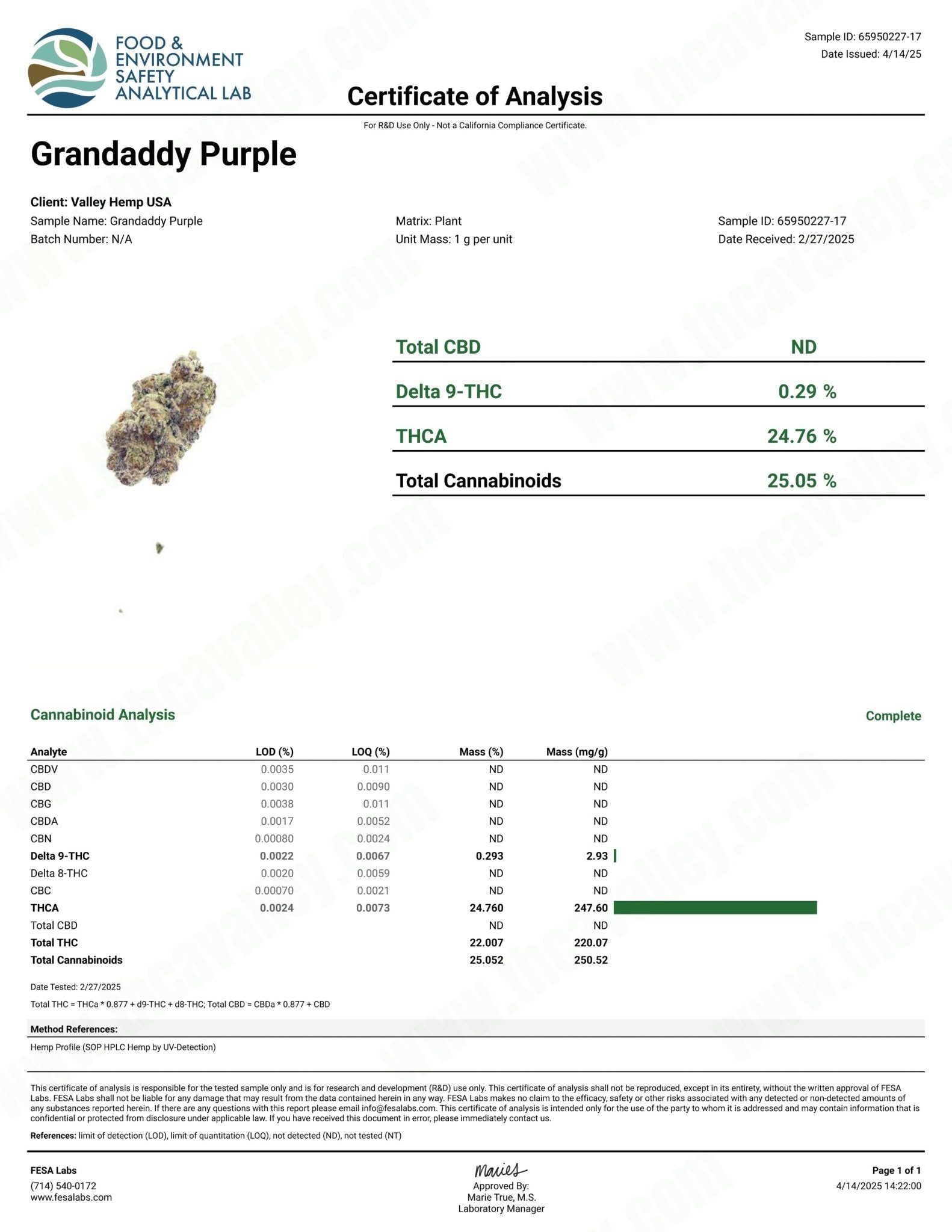 Grandaddy Purple (Wholesale Clearance) - Valley Hemp