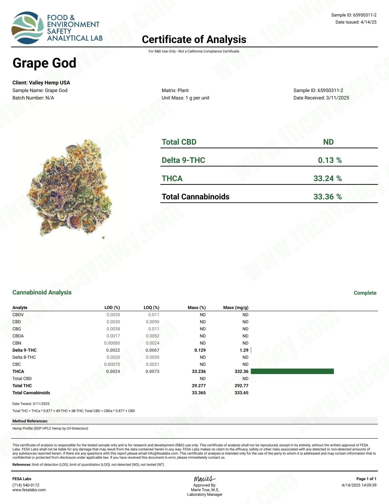 Grape God THCa Smalls (Wholesale) - Valley Hemp