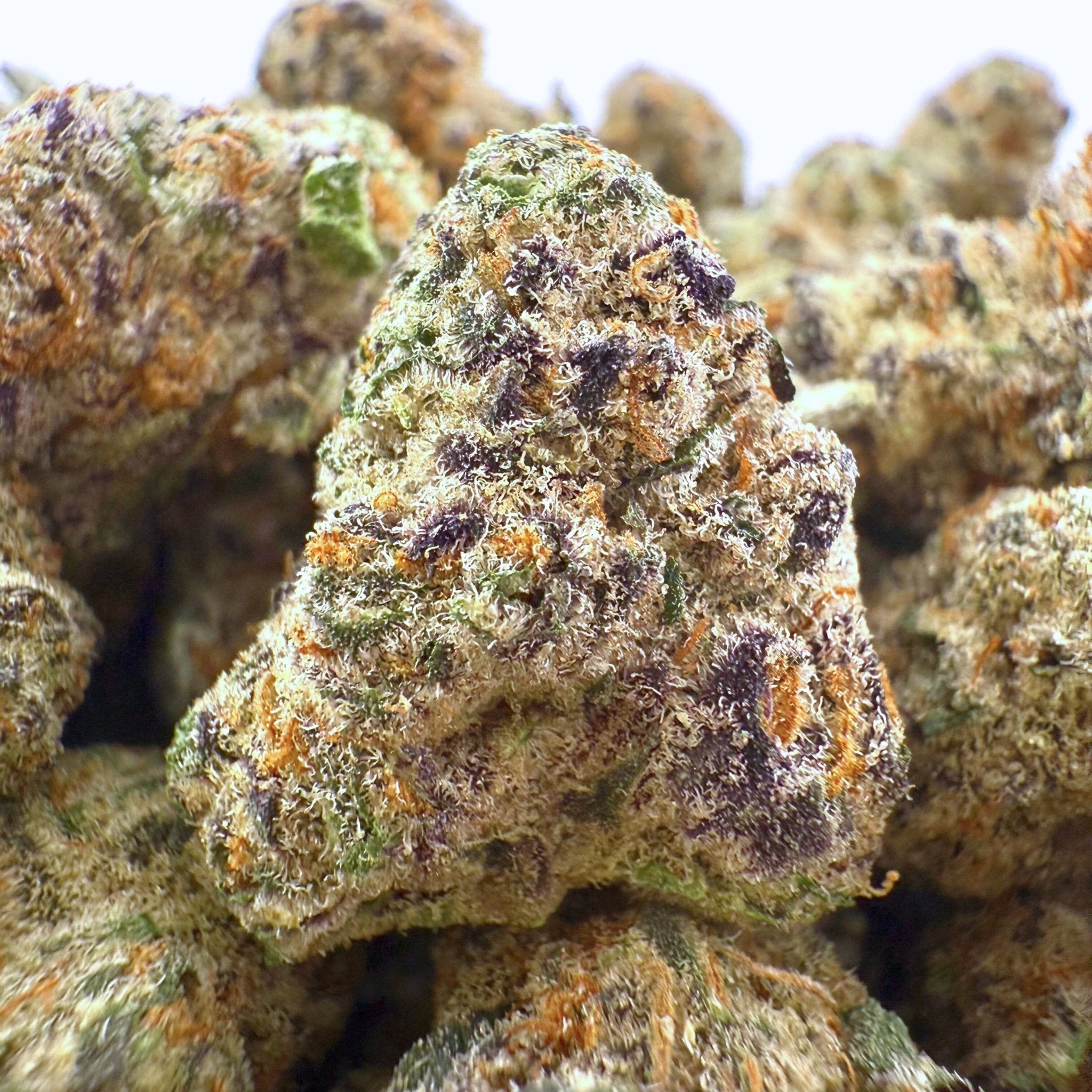 Grape God THCa Smalls (Wholesale) - Valley Hemp