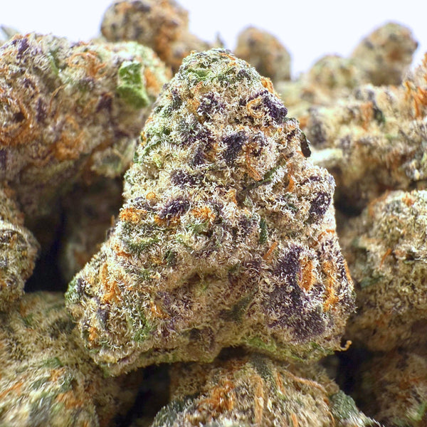 Grape God THCa Smalls (Wholesale) - Valley Hemp