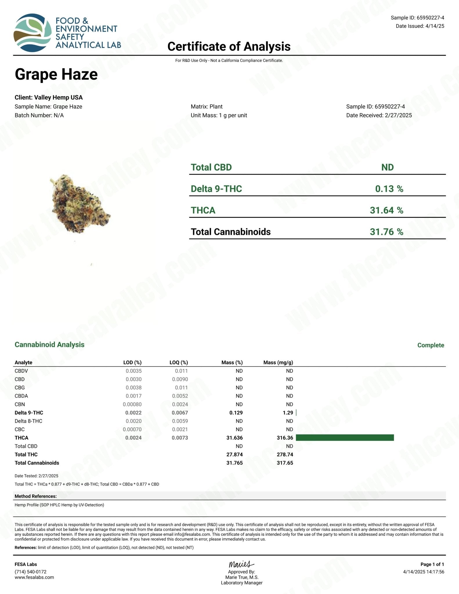 Grape Haze - Valley Hemp