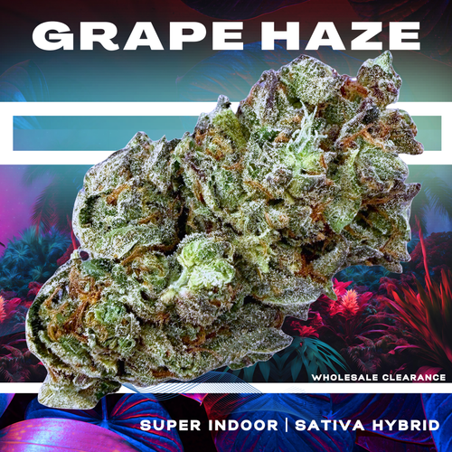 Grape Haze (Wholesale Clearance) - Valley Hemp