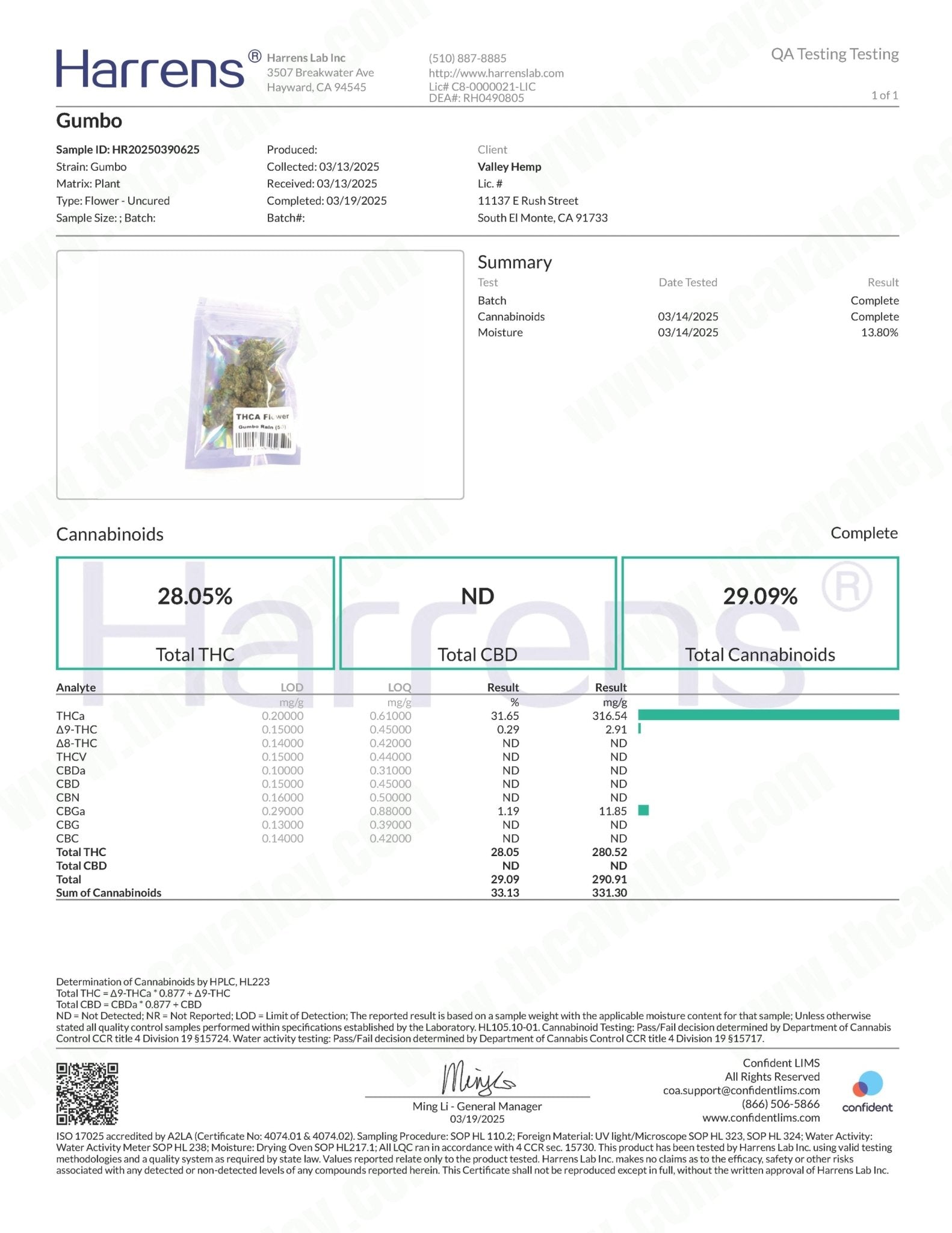 Gumbo ( Wholesale ) - Valley Hemp