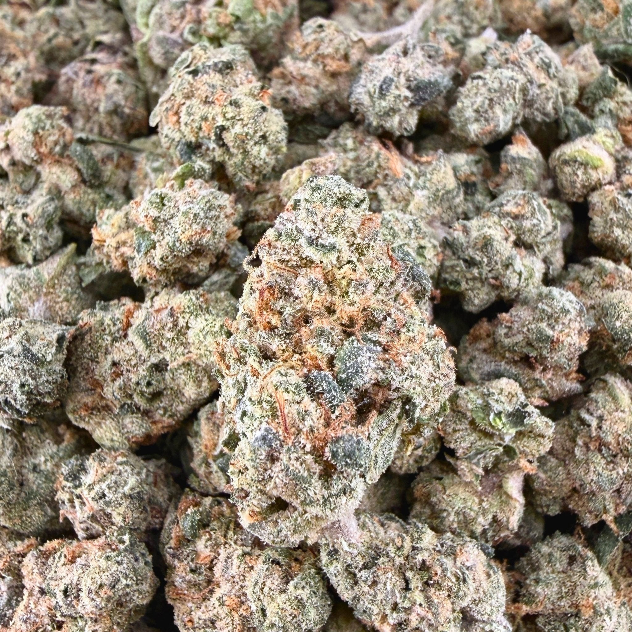 Gush Mints THCa Exotic Smalls - Valley Hemp