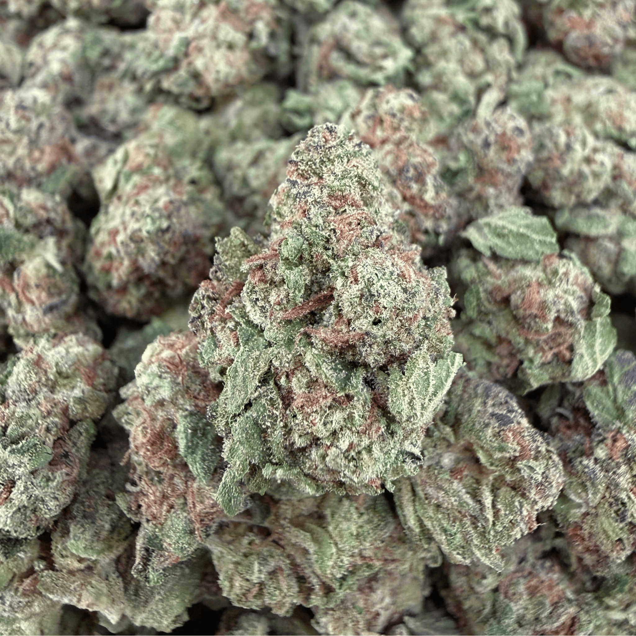 Gush Mints THCa Smalls - Valley Hemp