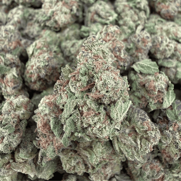 Gush Mints THCa Smalls - Valley Hemp