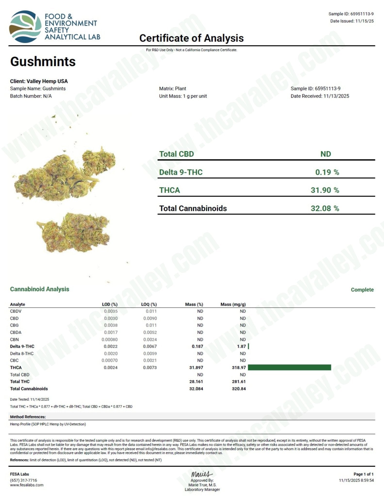 Gush Mintz - Valley Hemp