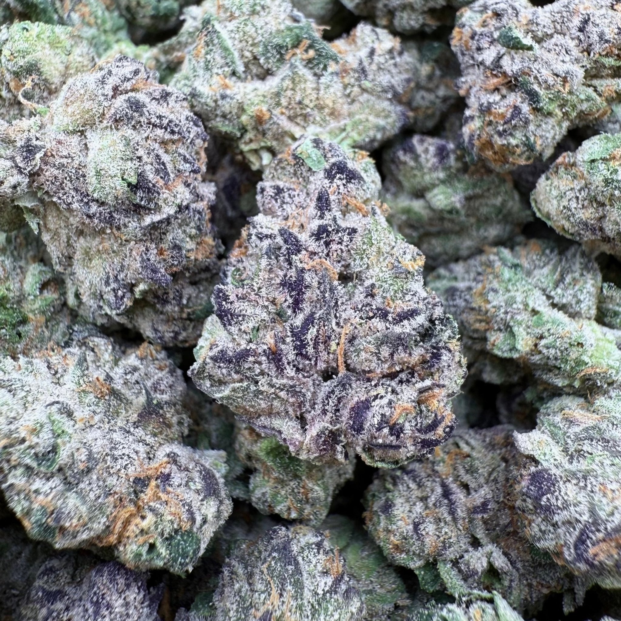 Hectane Gelato THCa Exotic Smalls - Valley Hemp