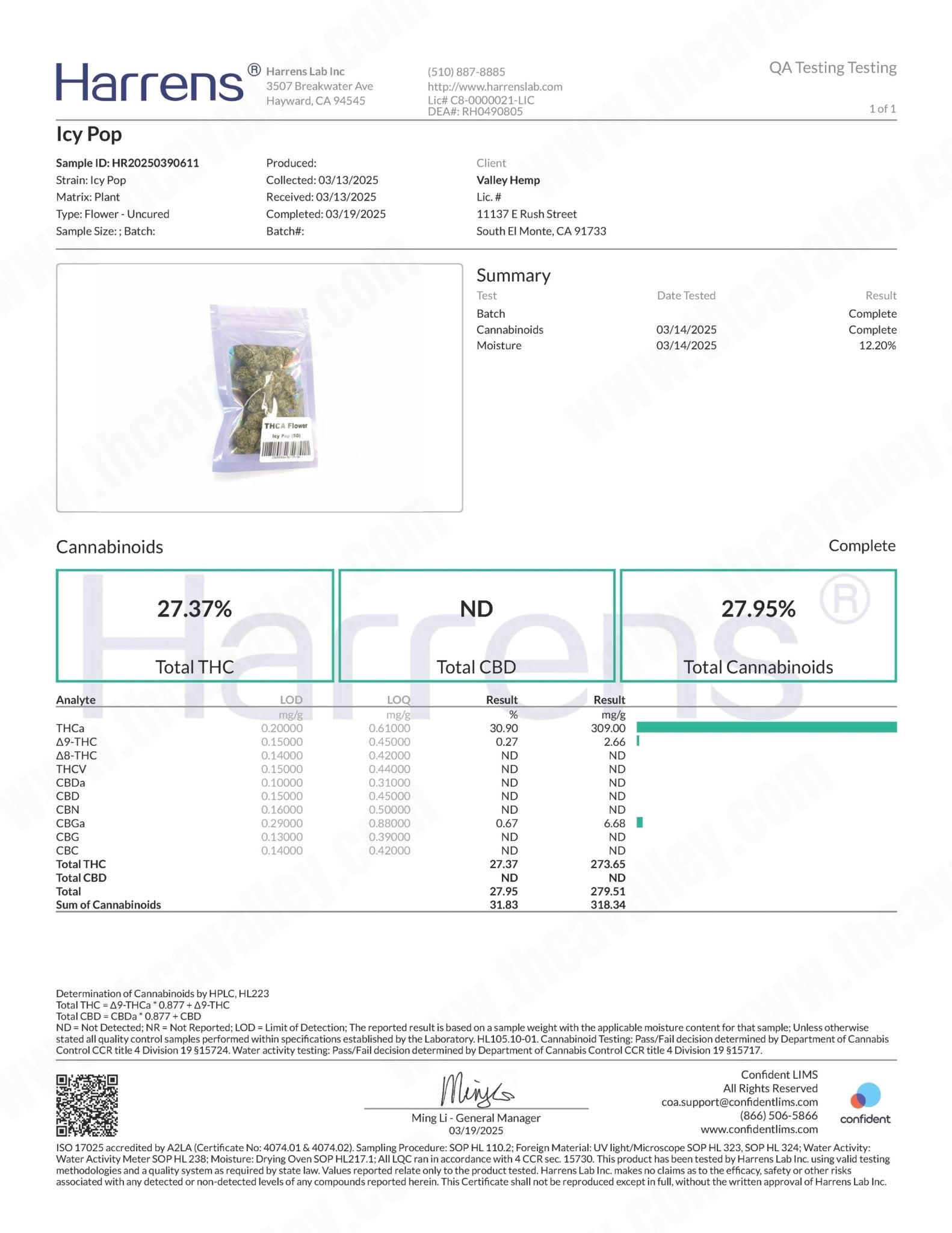 Icy Pop THCa Smalls (Wholesale) - Valley Hemp