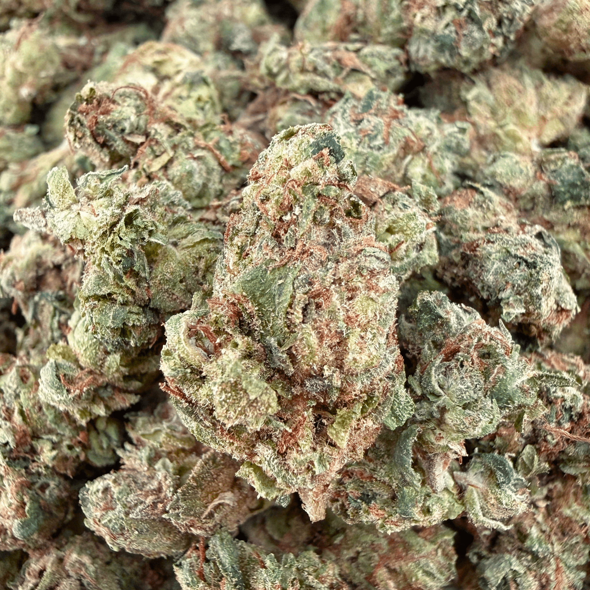 Jelly Runtz THCa Smalls (Wholesale) - Valley Hemp