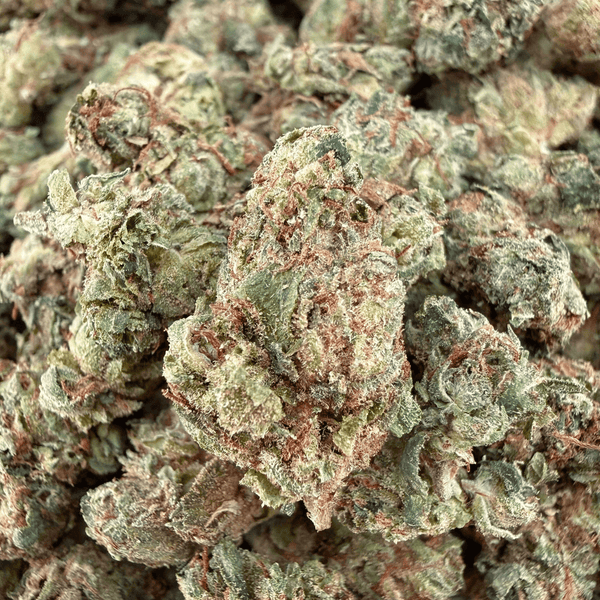 Jelly Runtz THCa Smalls (Wholesale) - Valley Hemp