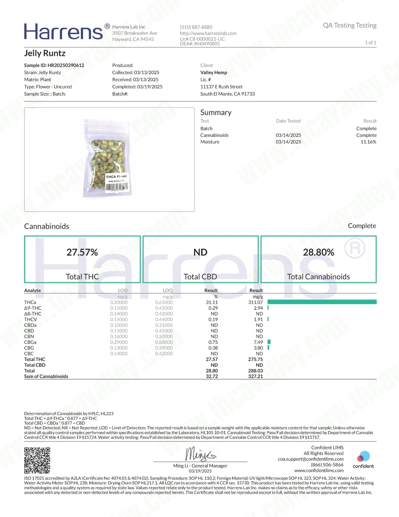 Jelly Runtz ( Wholesale ) - Valley Hemp