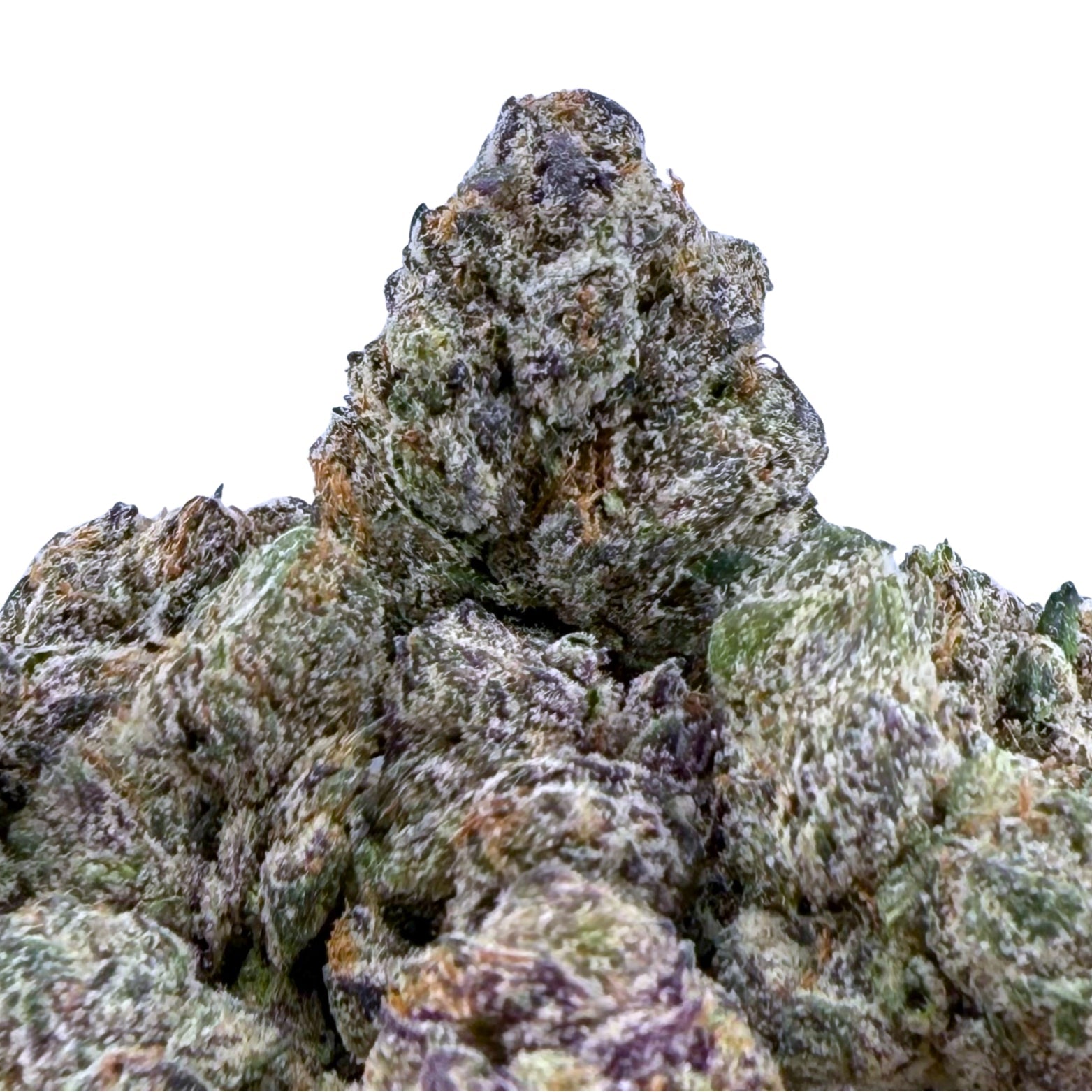 Jelly Runtz ( Wholesale ) - Valley Hemp