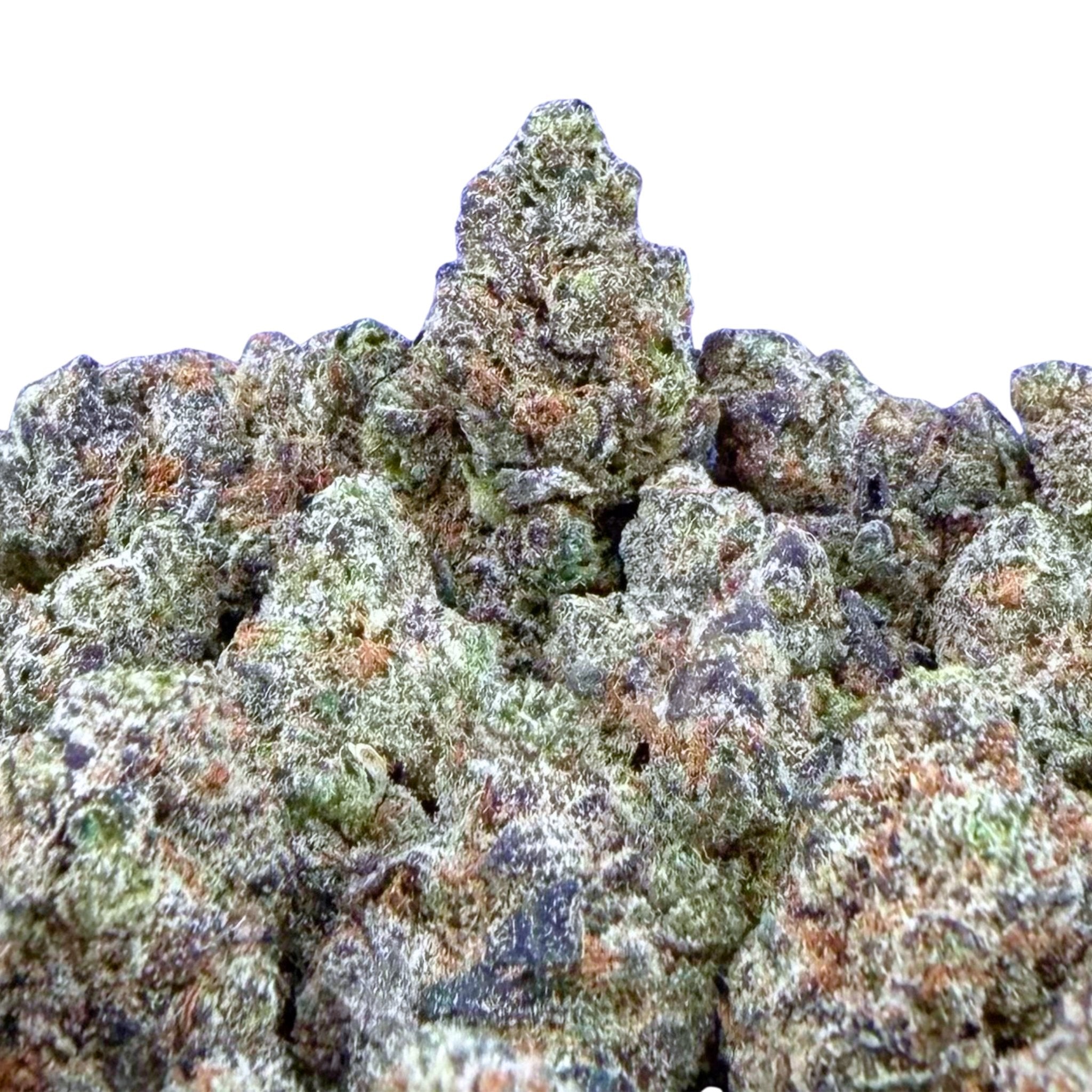 Jelly Runtz ( Wholesale ) - Valley Hemp