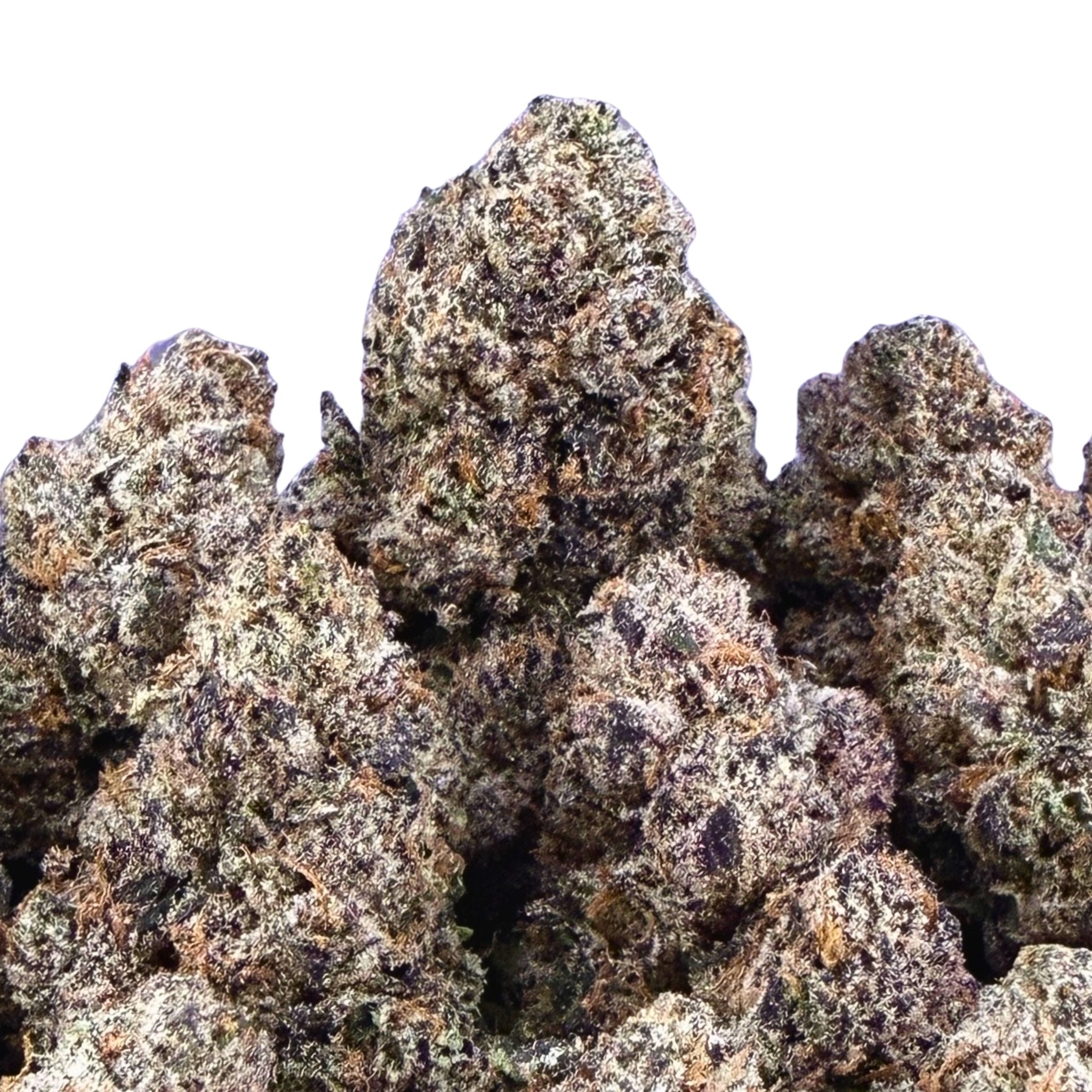 Jelly Runtz ( Wholesale ) - Valley Hemp