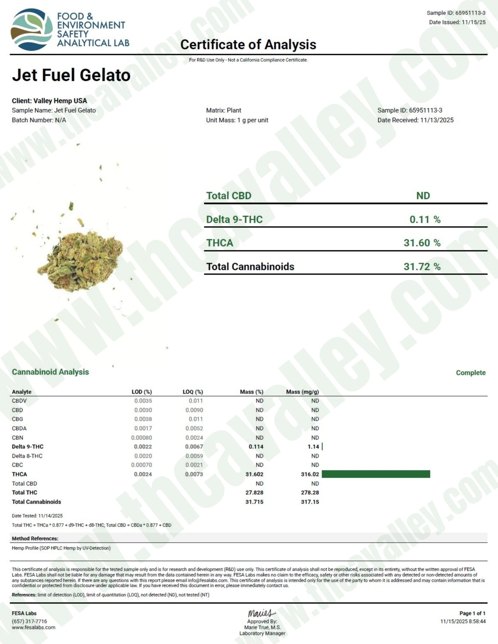 Jet Fuel Gelato (Wholesale) - Valley Hemp