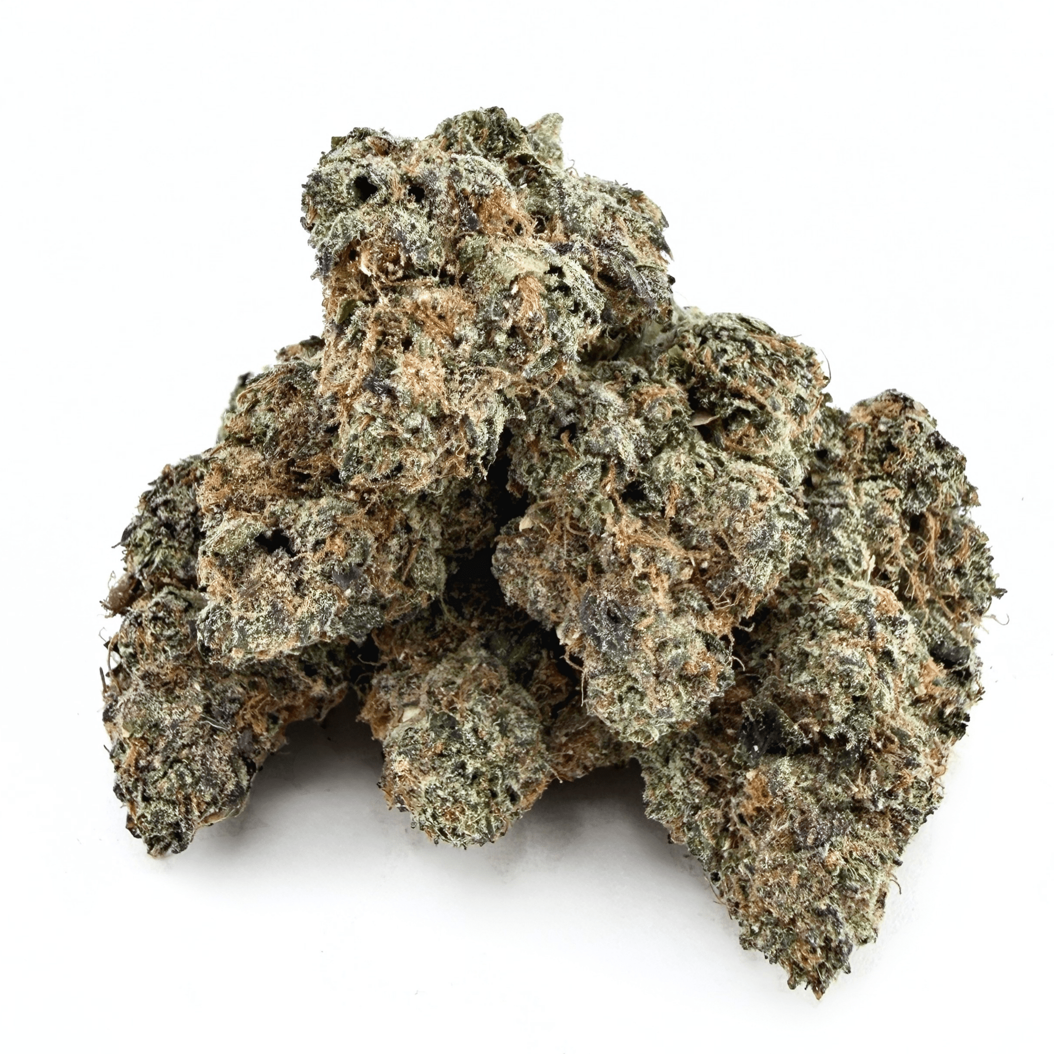 Jet Fuel Gelato (Wholesale) - Valley Hemp