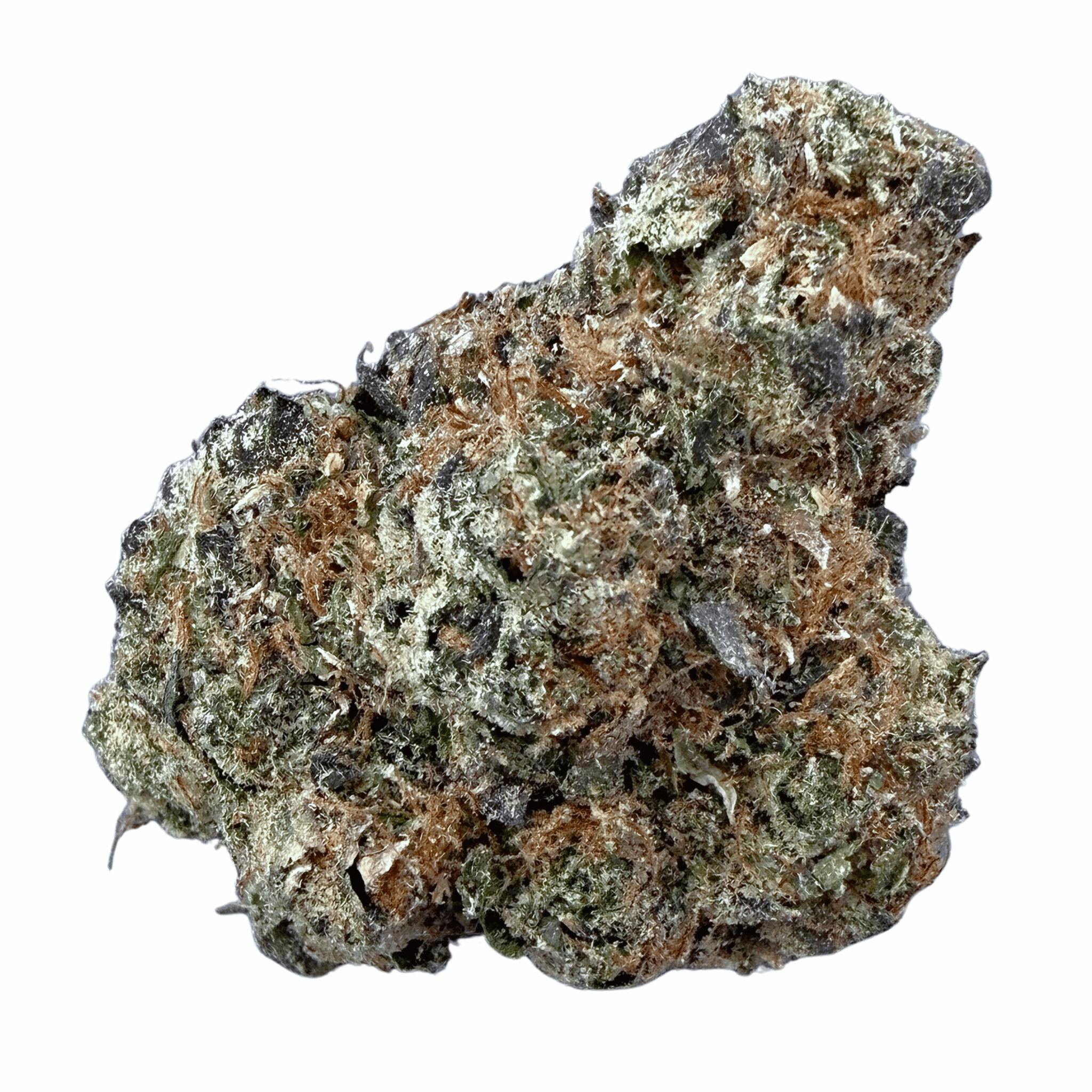 Jet Fuel Gelato (Wholesale) - Valley Hemp