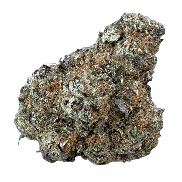 Jet Fuel Gelato (Wholesale) - Valley Hemp