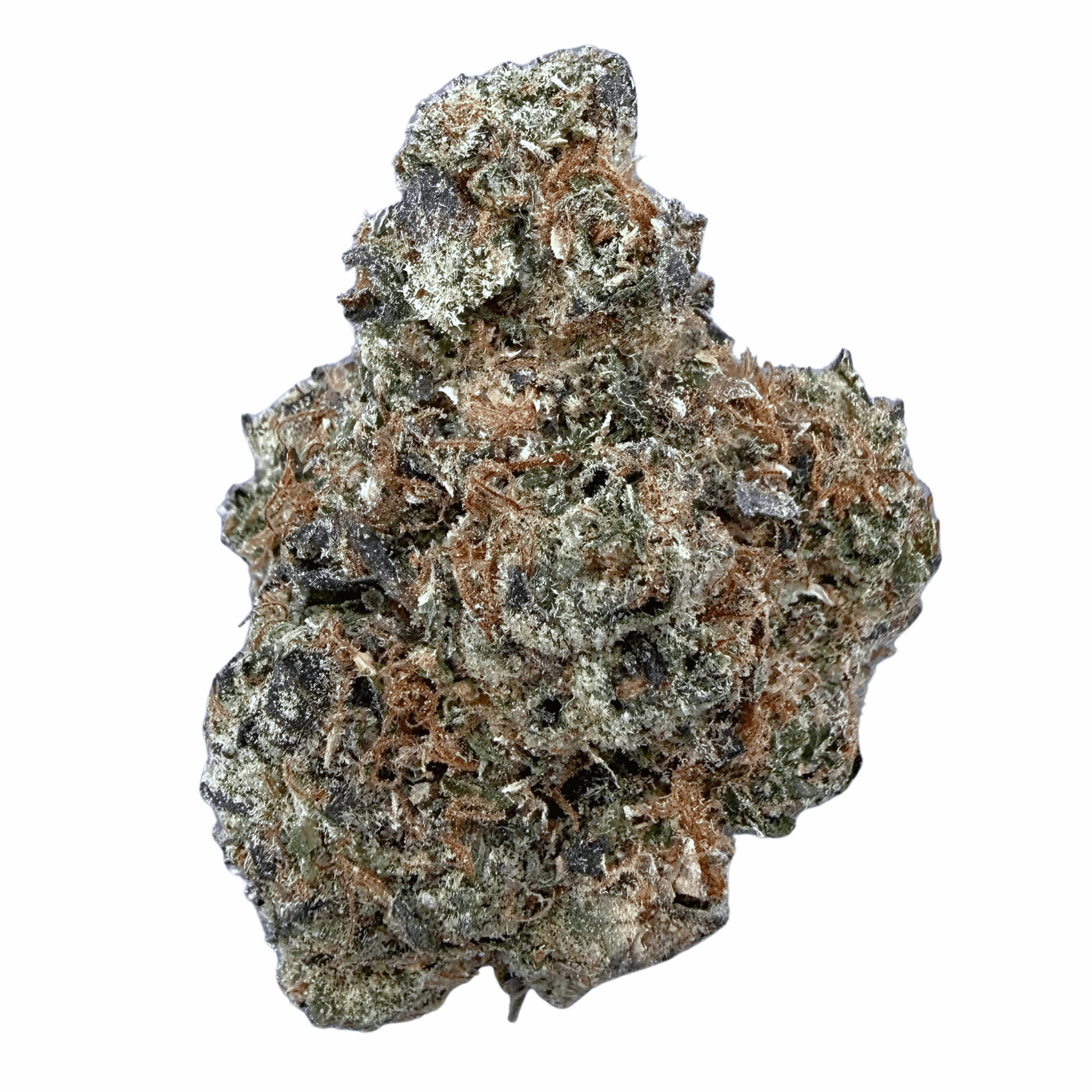 Jet Fuel Gelato (Wholesale) - Valley Hemp