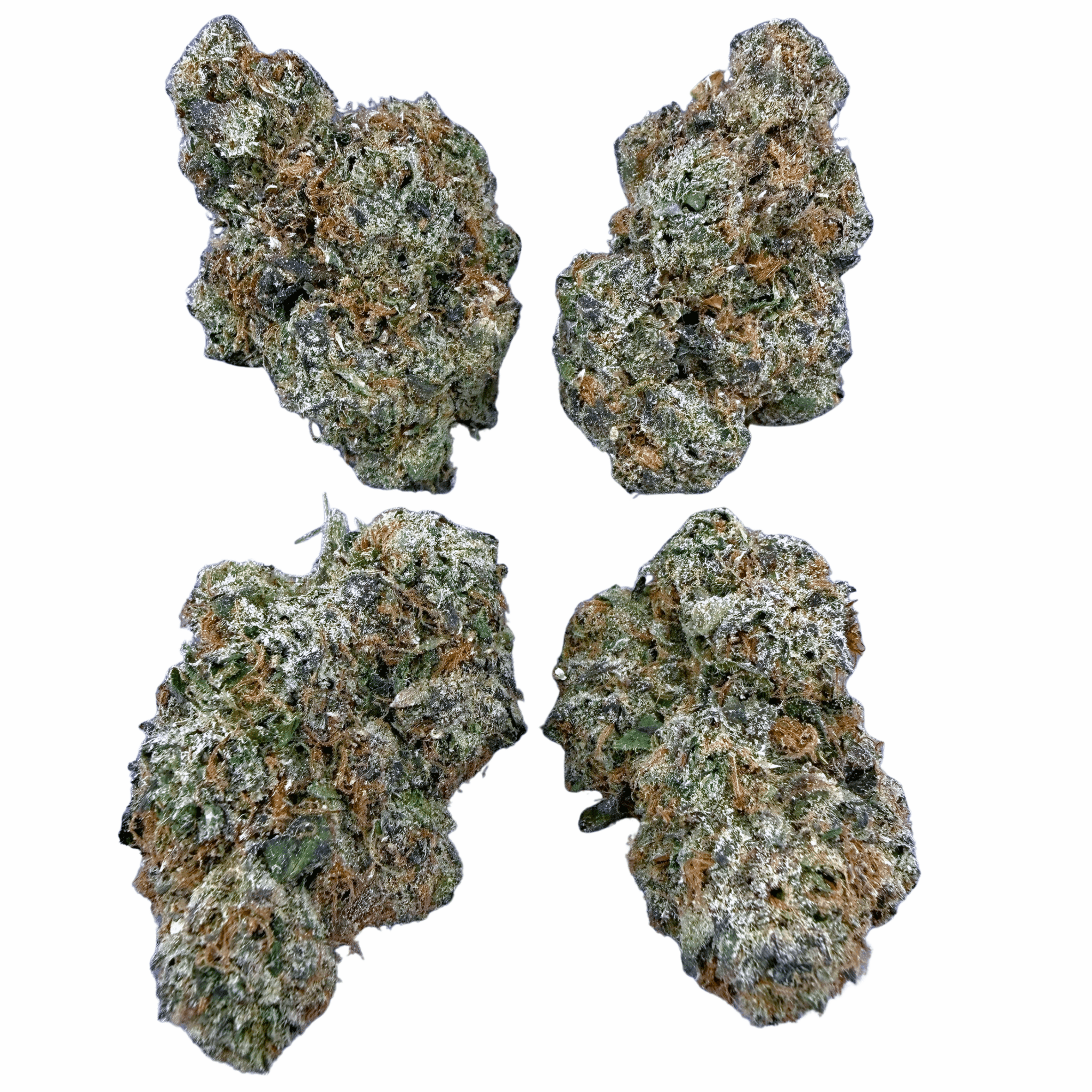 Jet Fuel Gelato (Wholesale) - Valley Hemp