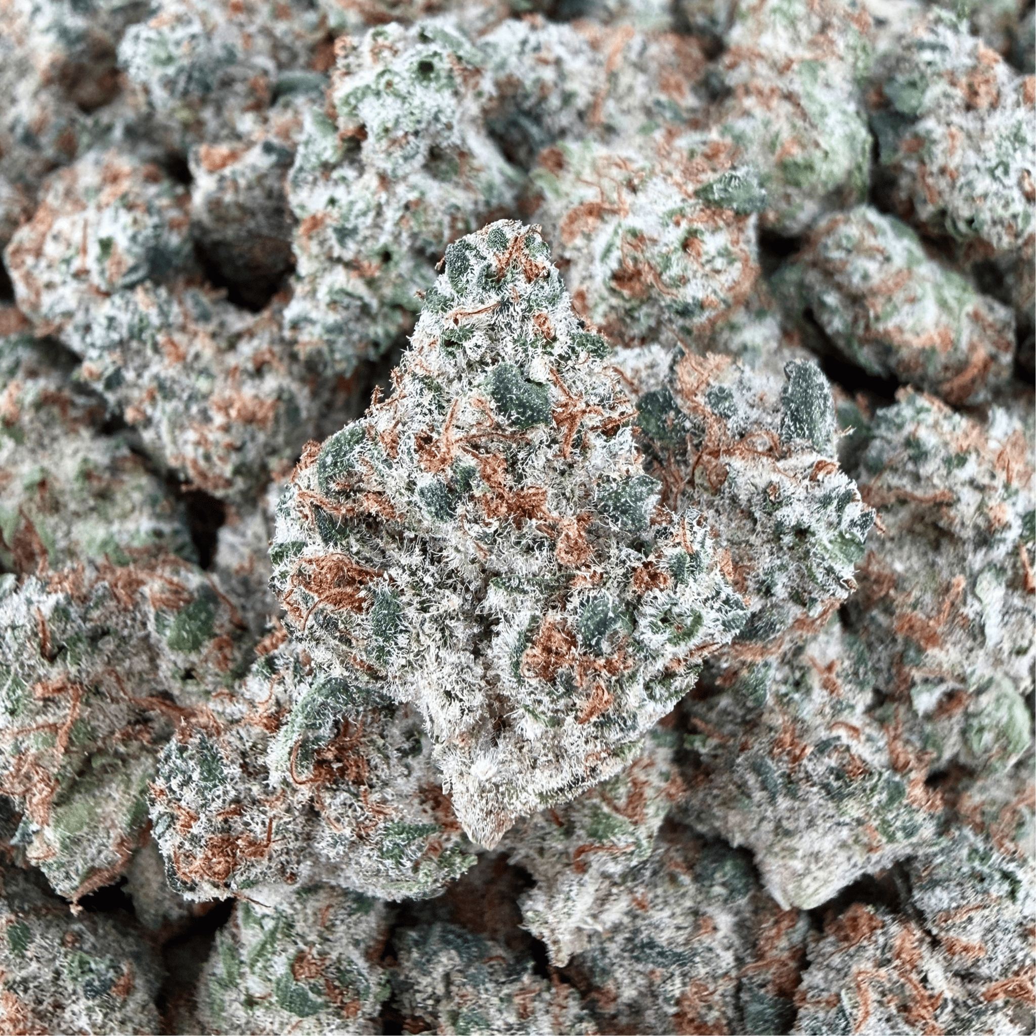 Juicy Fruit THCa Smalls (Wholesale) - Valley Hemp