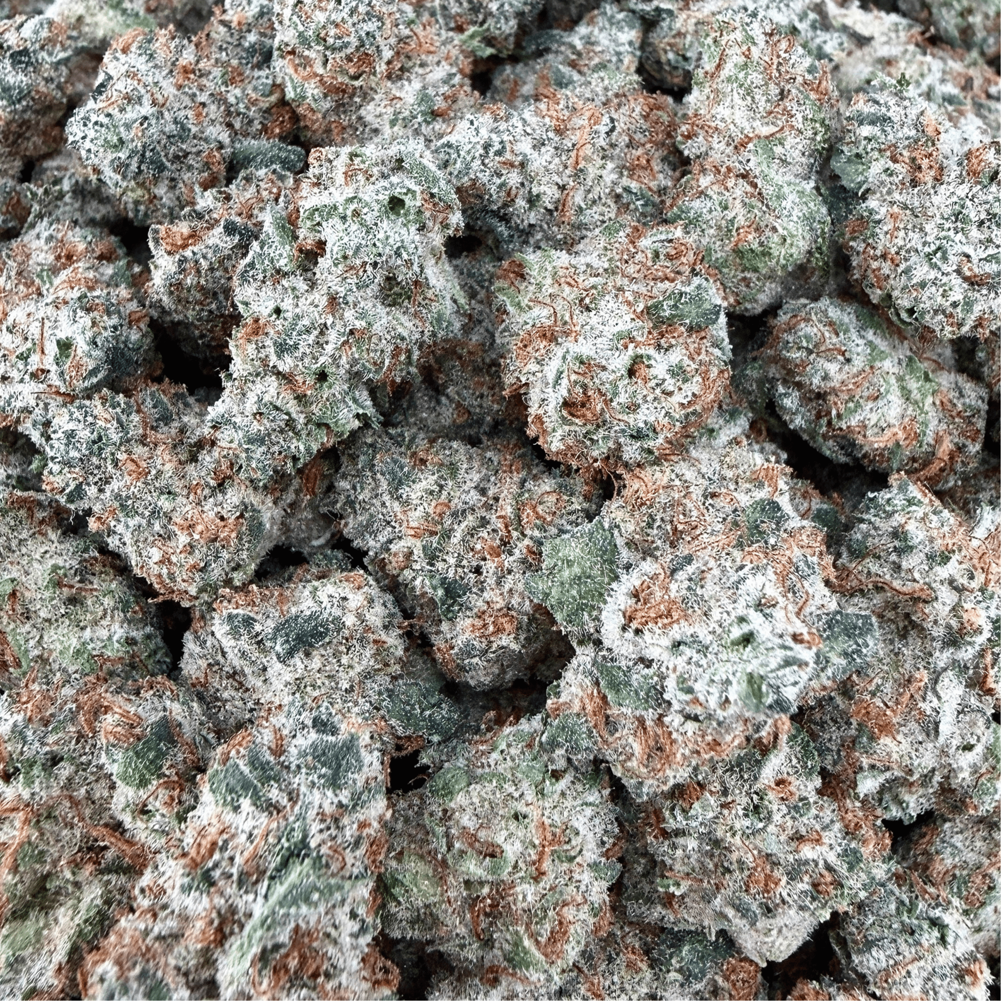 Juicy Fruit THCa Smalls (Wholesale) - Valley Hemp