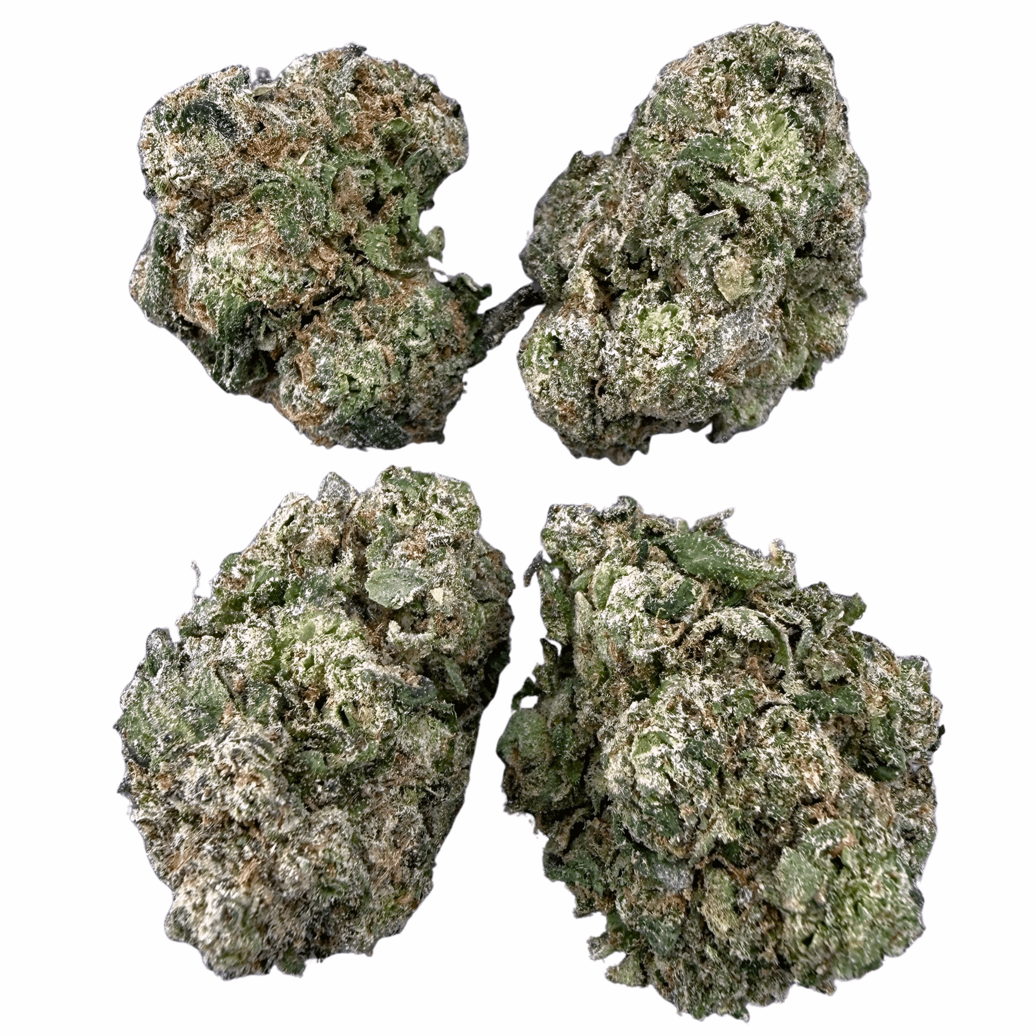 LA Pop Rock (Wholesale) - Valley Hemp