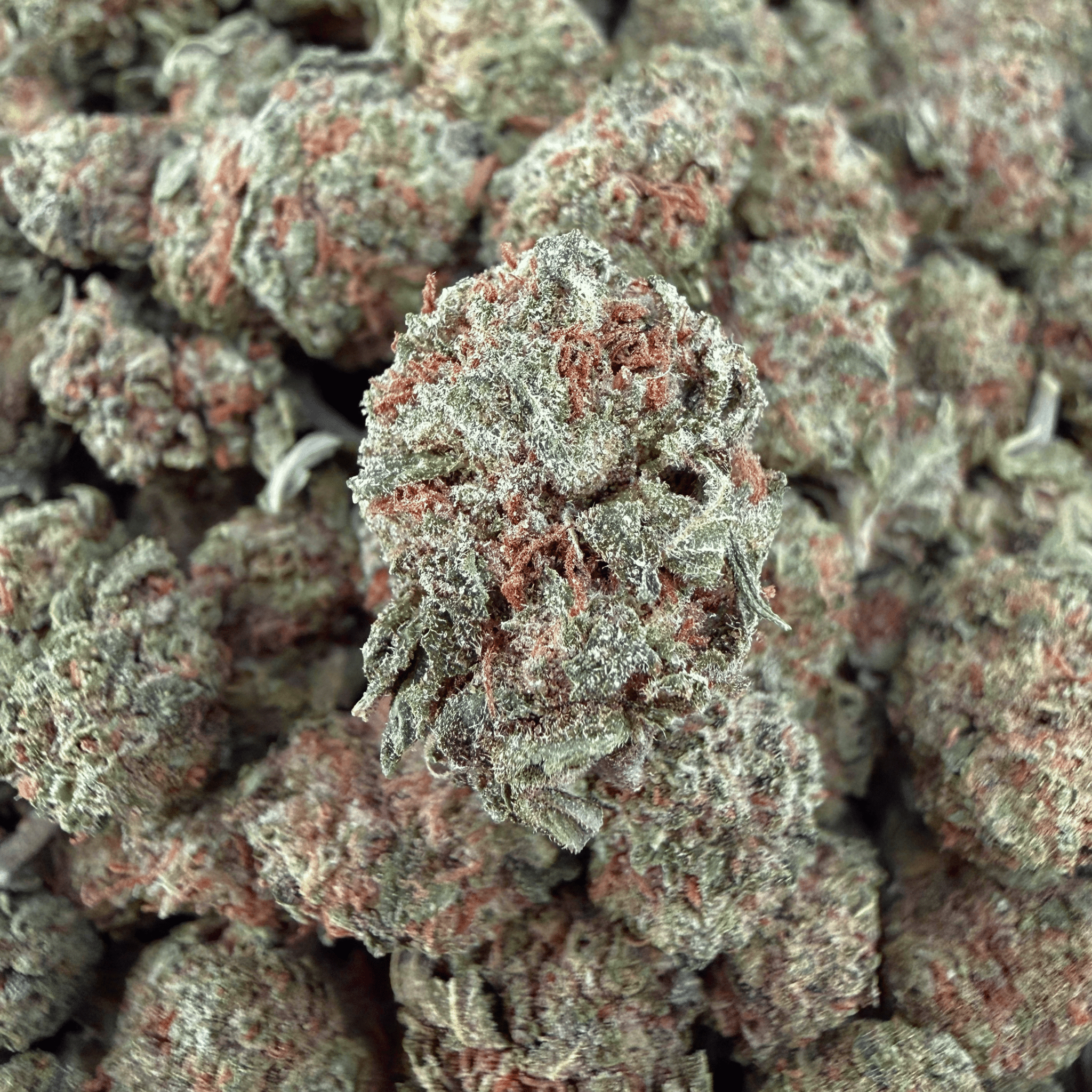 LCG THCa Smalls (Wholesale) - Valley Hemp