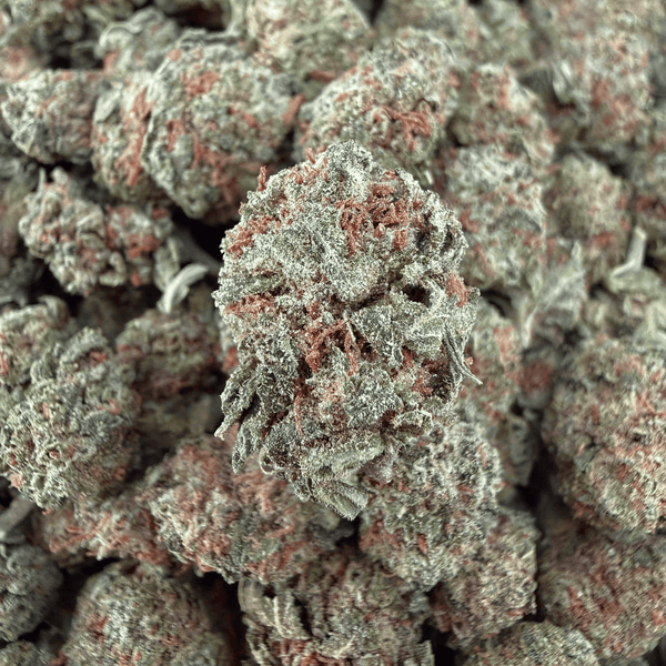 LCG THCa Smalls (Wholesale) - Valley Hemp