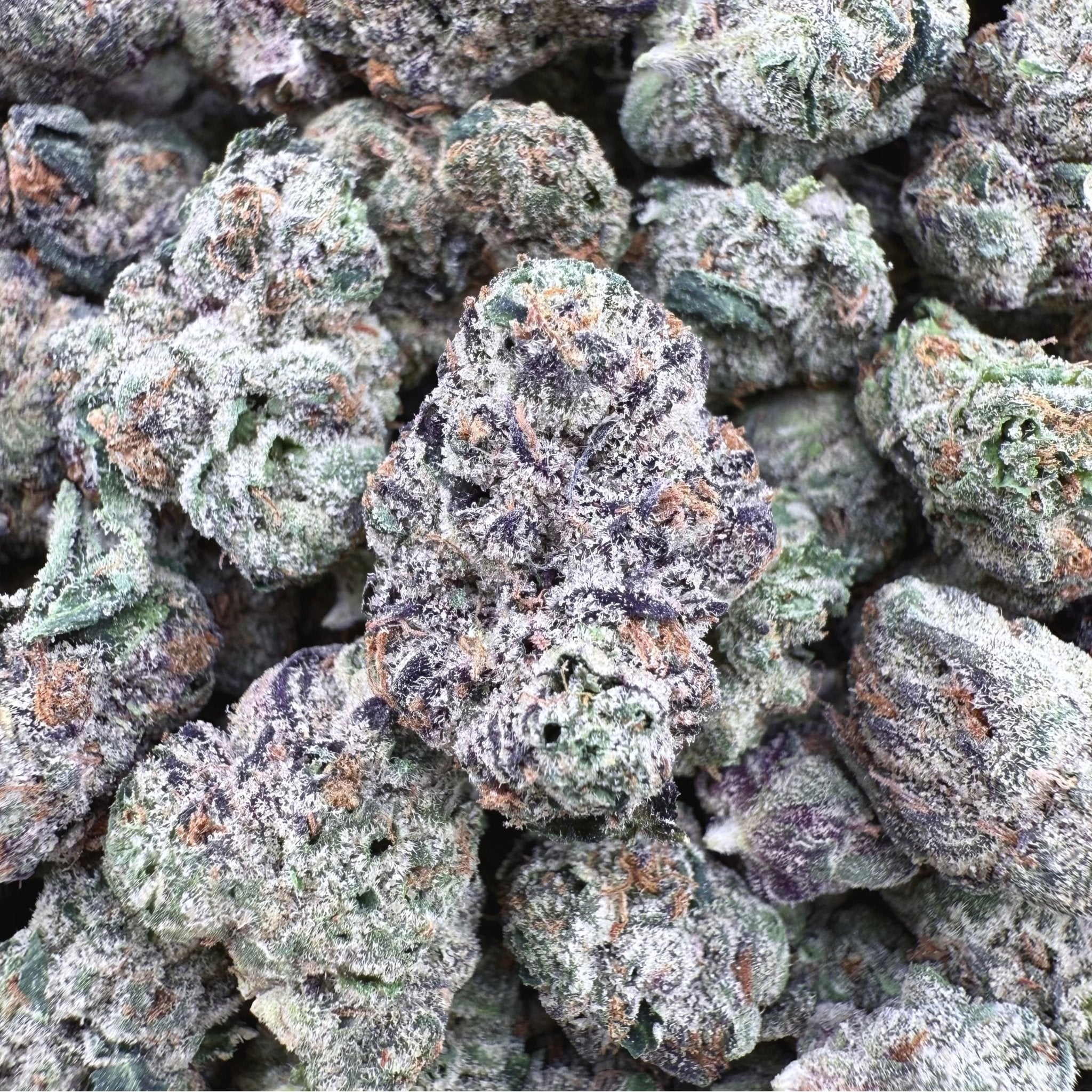 Lemon Cherry Gelato THCa Exotic Smalls - Valley Hemp