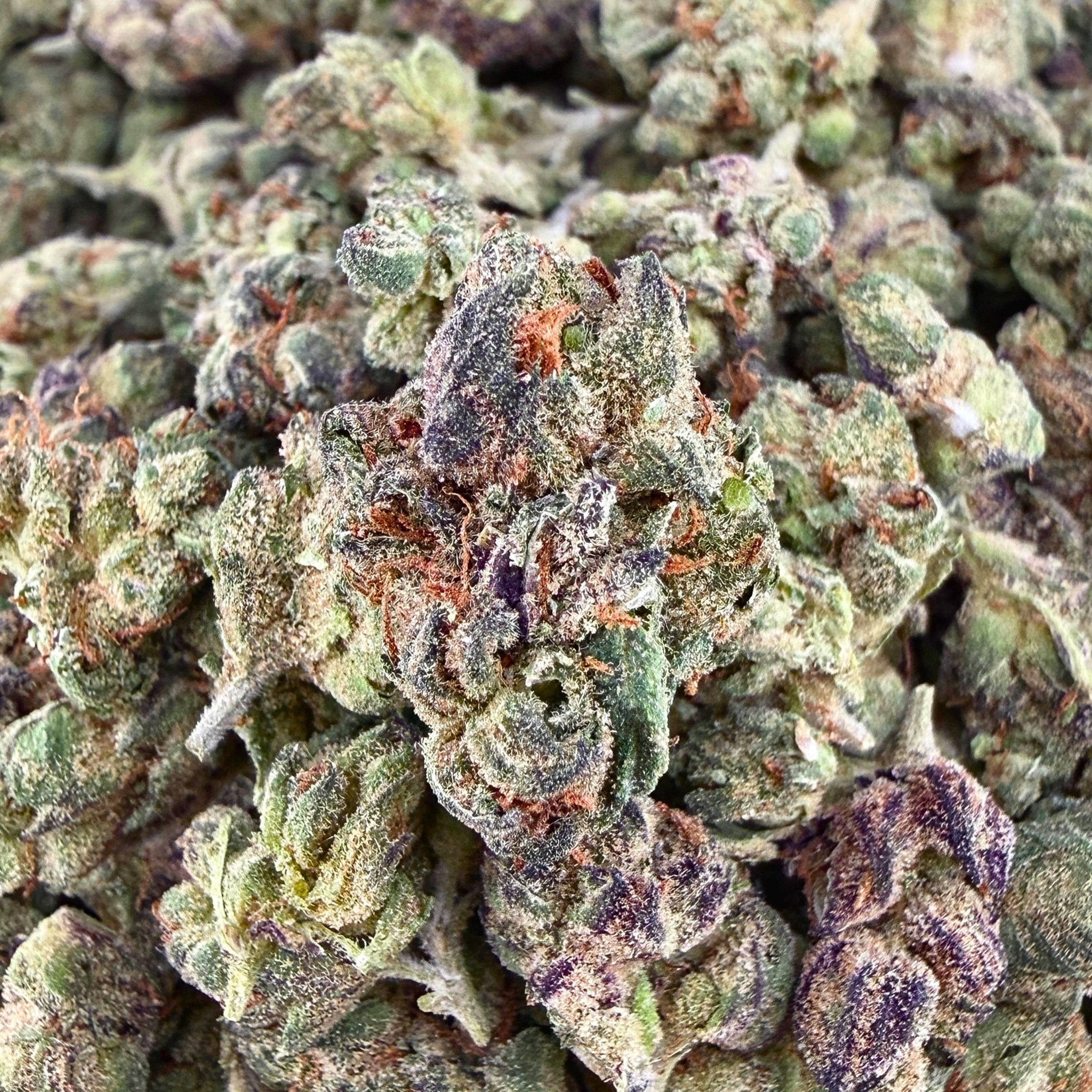 Lemon Cherry Gelato THCa Smalls - Valley Hemp