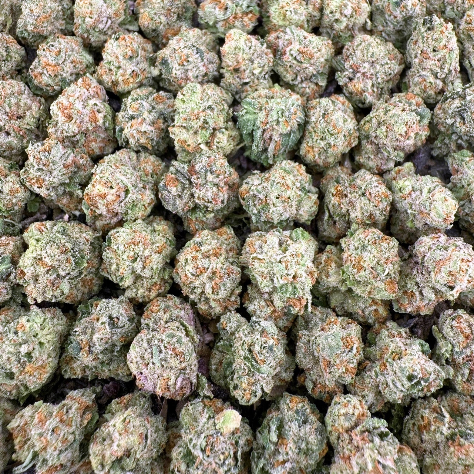 Lemon Cherry Gelato THCa Smalls (Wholesale) - Valley Hemp