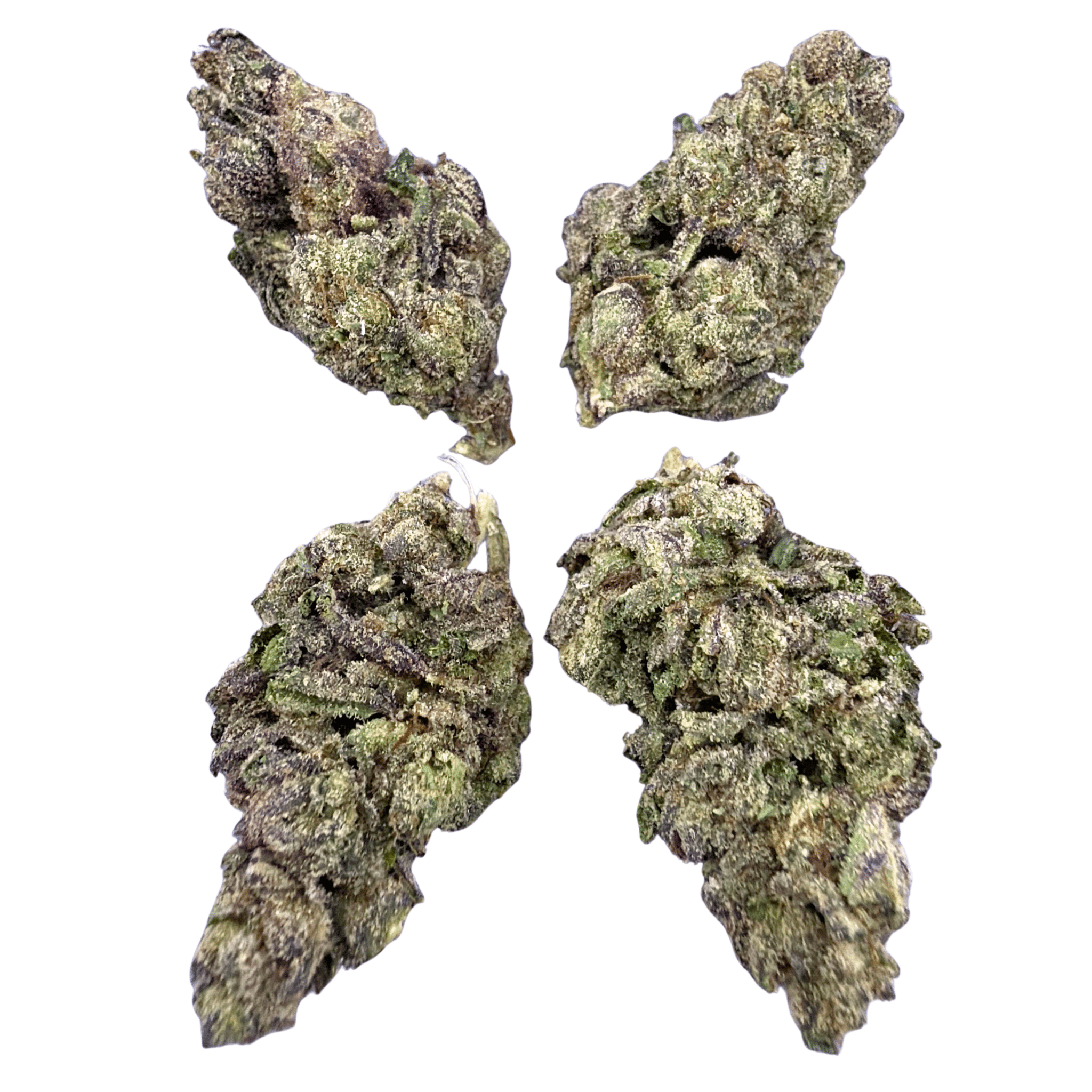 Limoncello Haze (Wholesale) - Valley Hemp