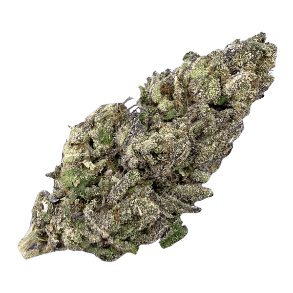 Limoncello Haze (Wholesale) - Valley Hemp