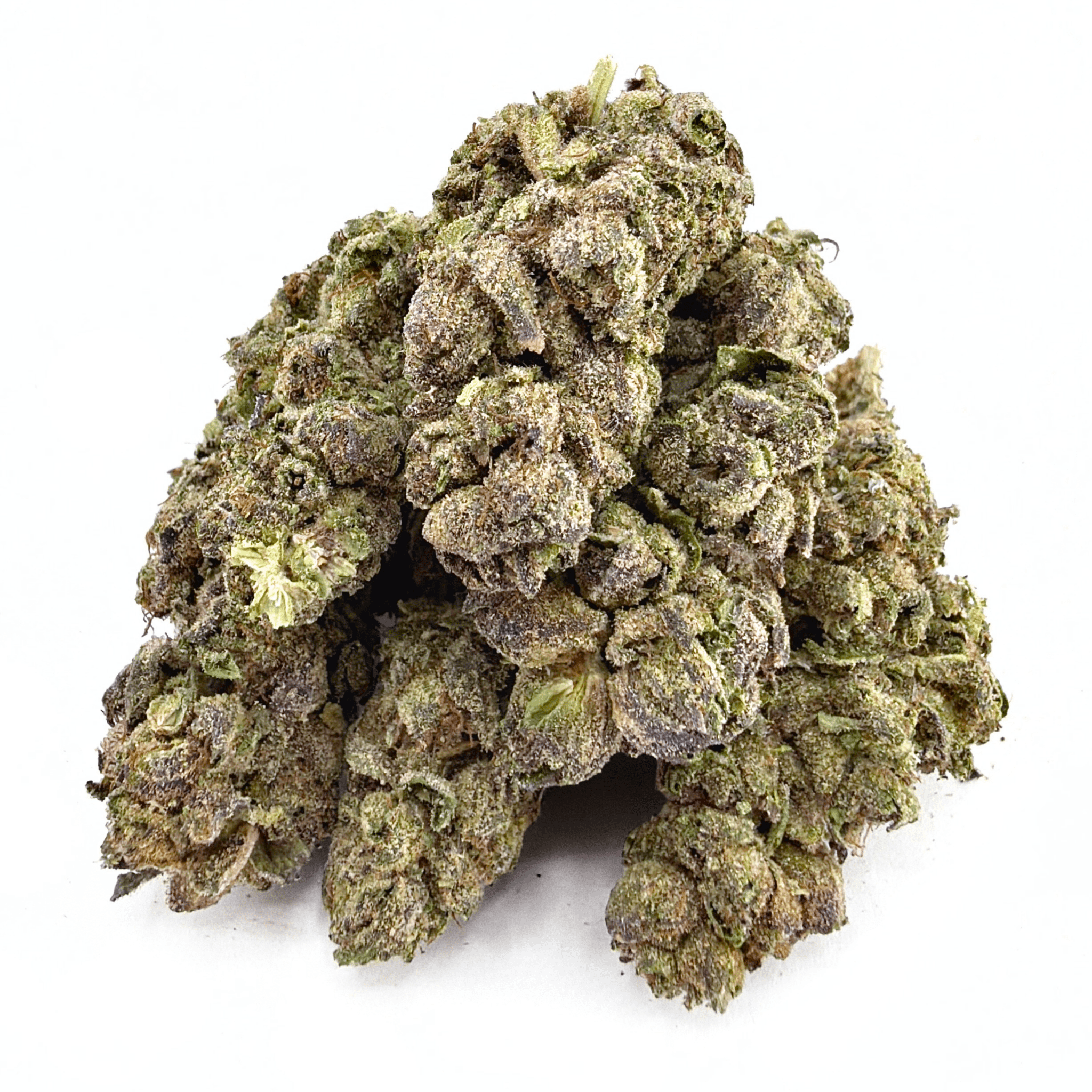 Limoncello Haze (Wholesale) - Valley Hemp