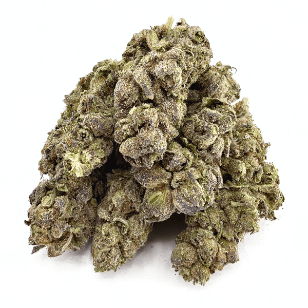 Limoncello Haze (Wholesale) - Valley Hemp