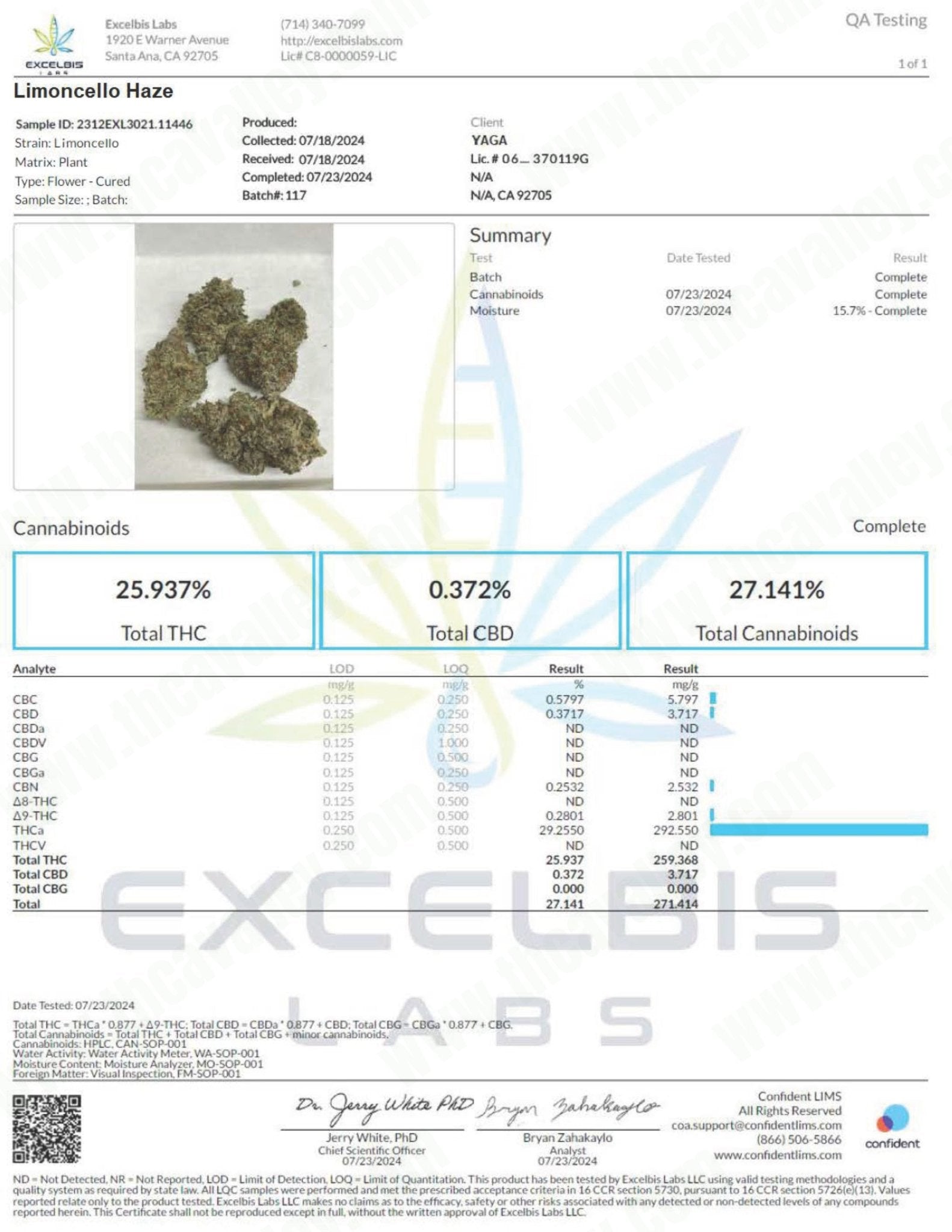 Limoncello Haze (Wholesale) - Valley Hemp