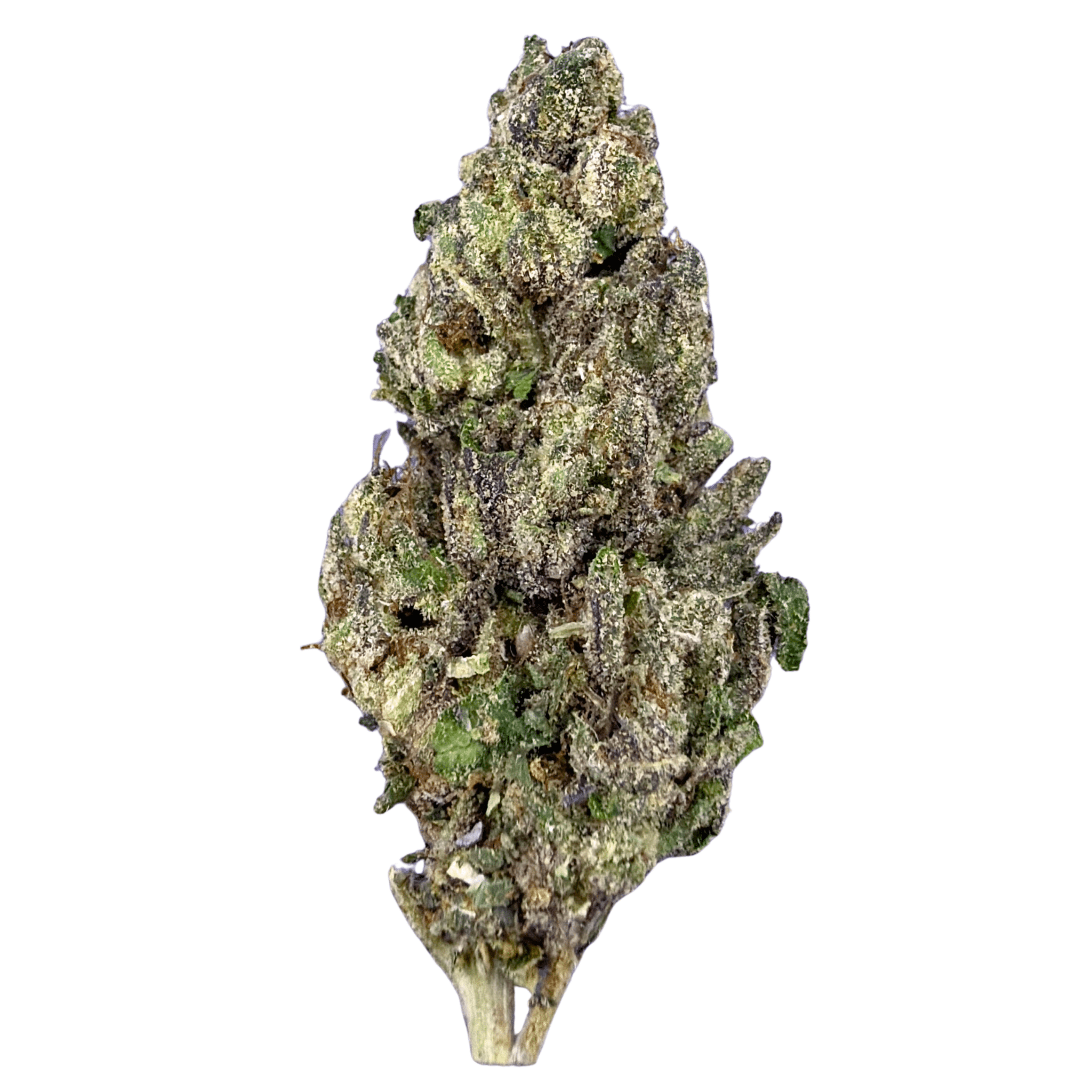 Limoncello Haze (Wholesale) - Valley Hemp