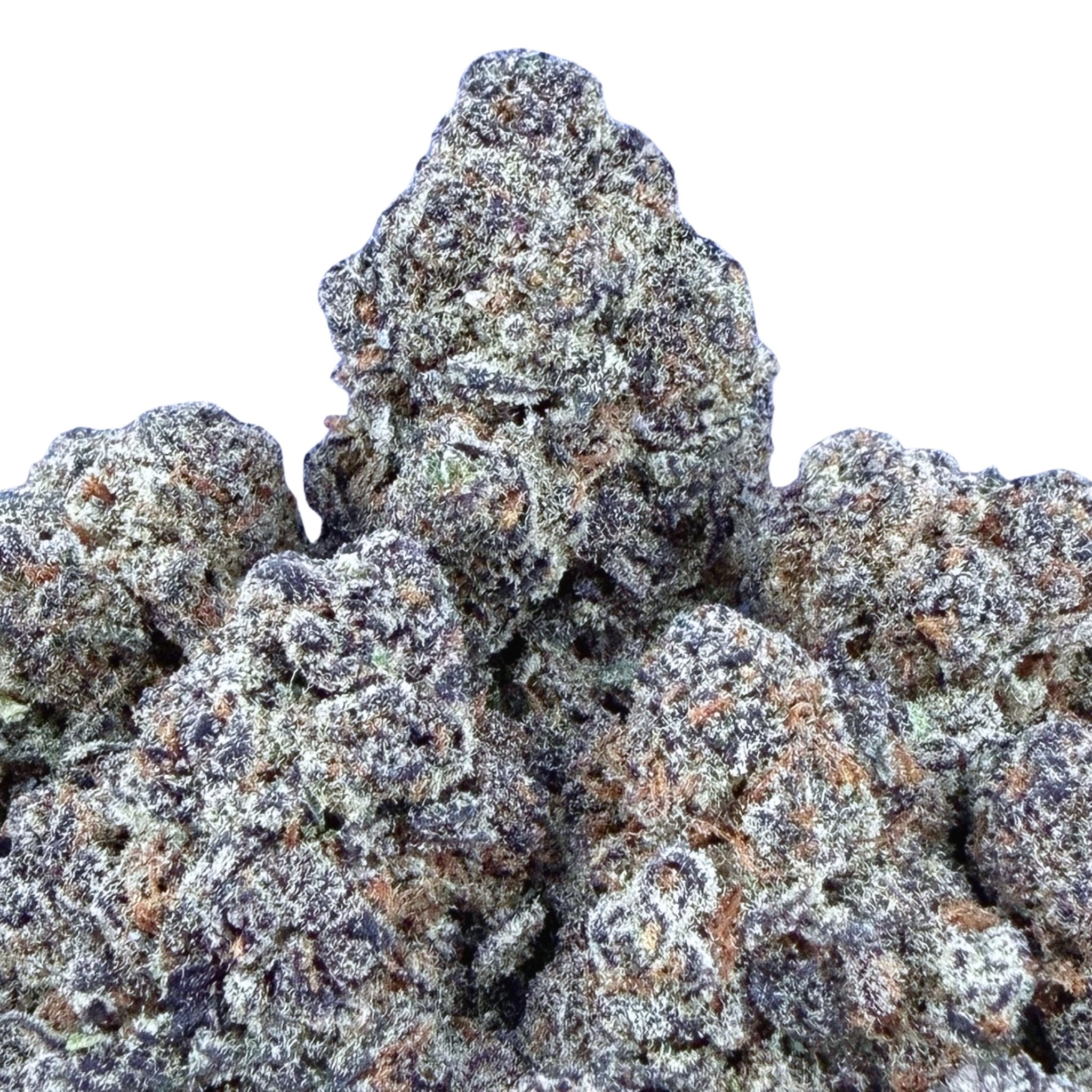 New Gelato 41 (Wholesale) - Valley Hemp