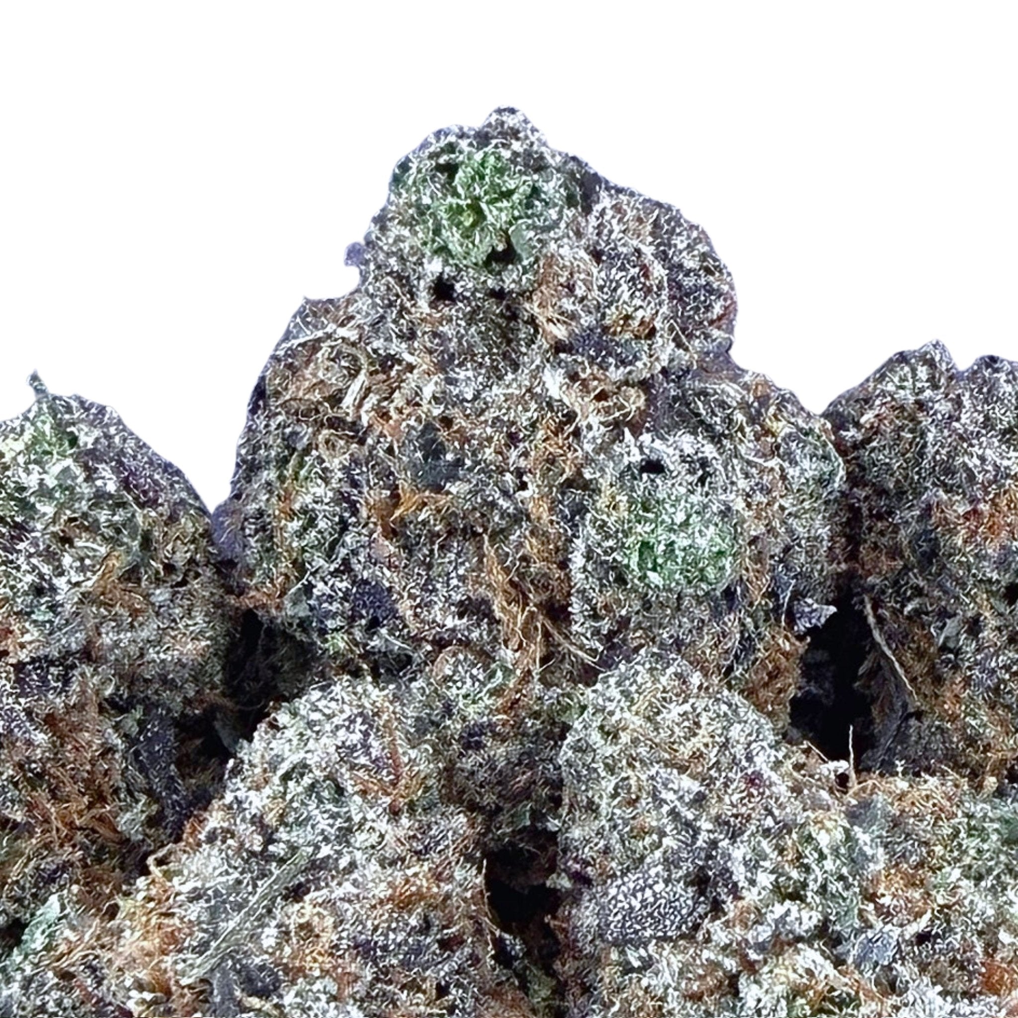 New Gumbo ( Wholesale ) - Valley Hemp