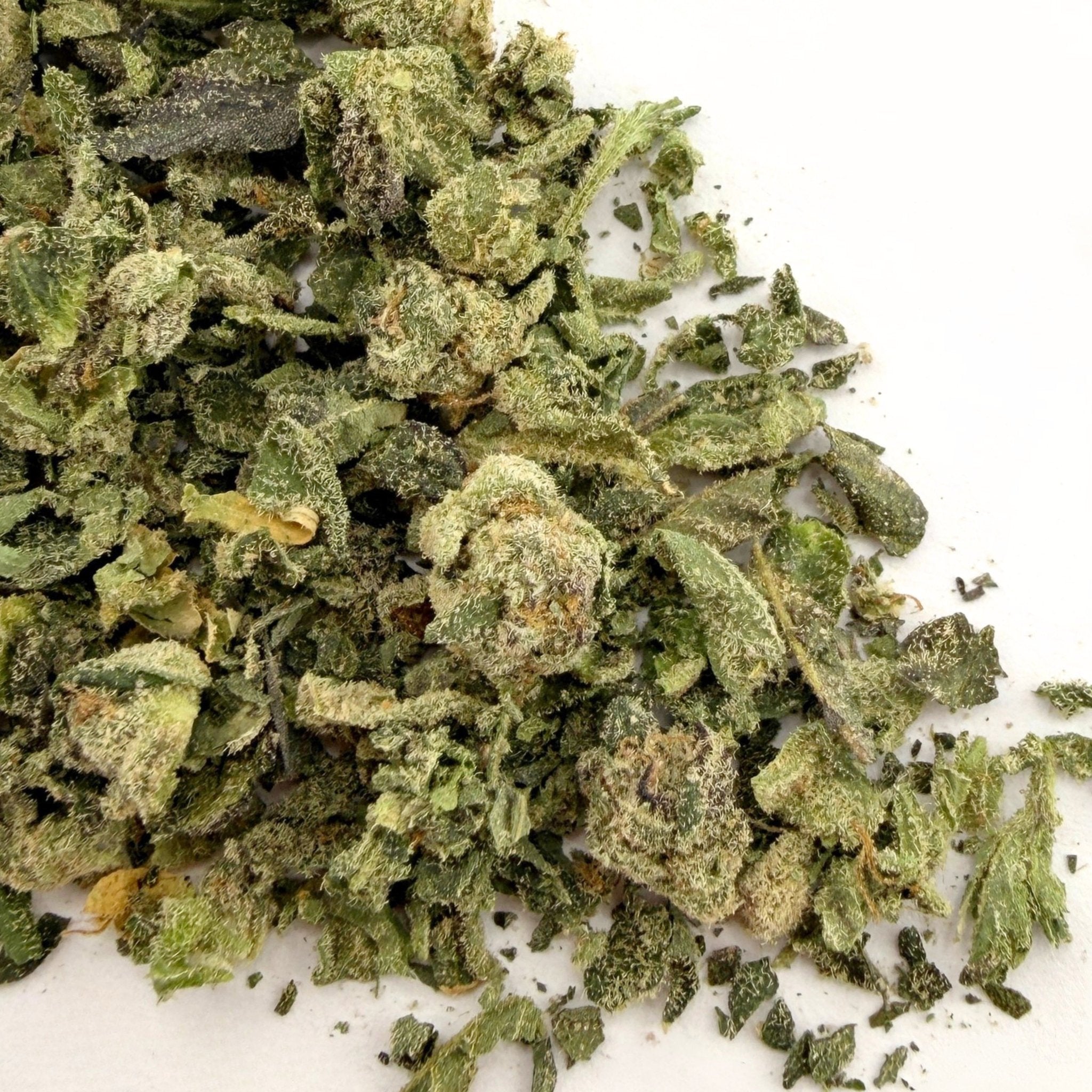 No 1. LA Pop Rock THCa Shake (Wholesale) - Valley Hemp