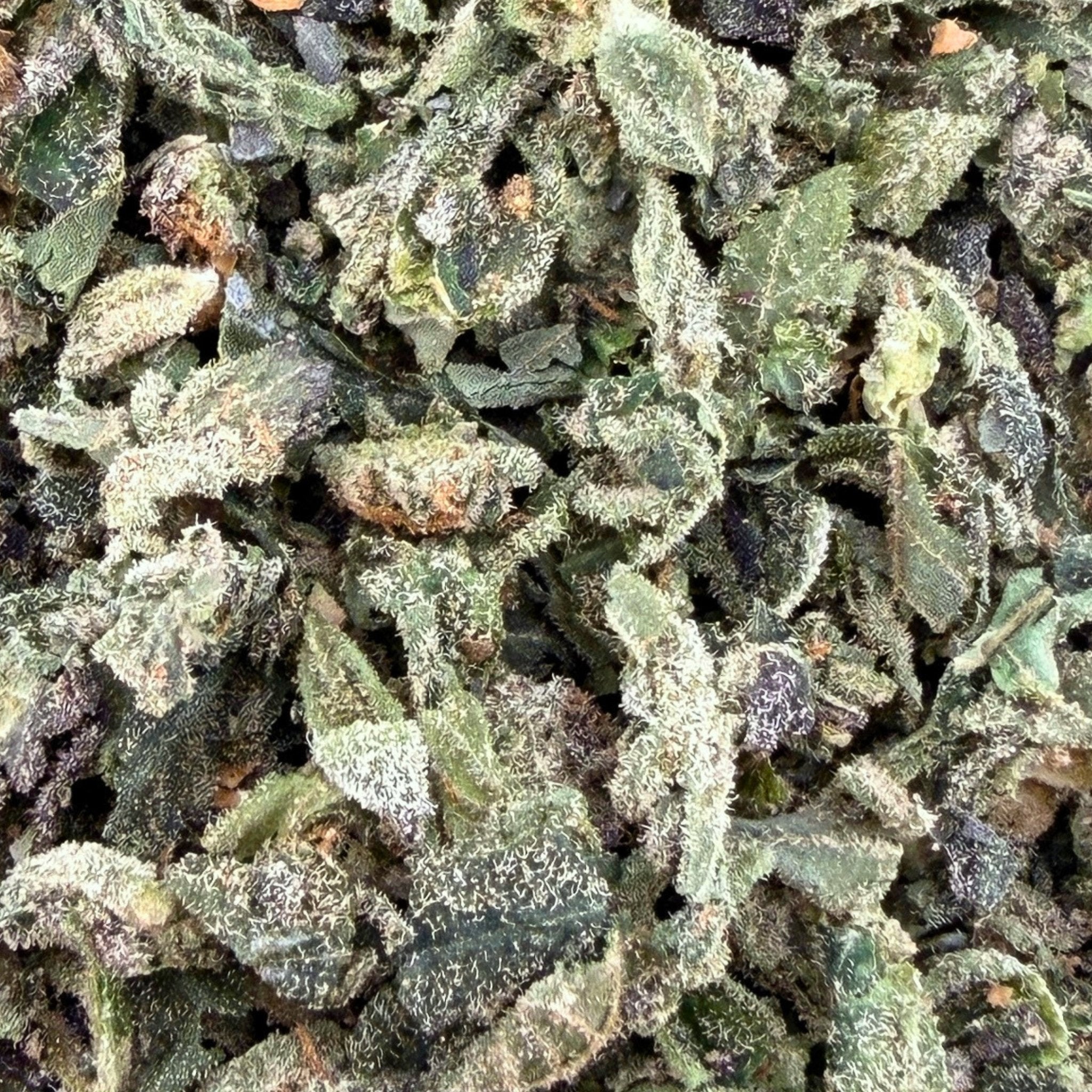 No 1. LA Pop Rock THCa Shake (Wholesale) - Valley Hemp