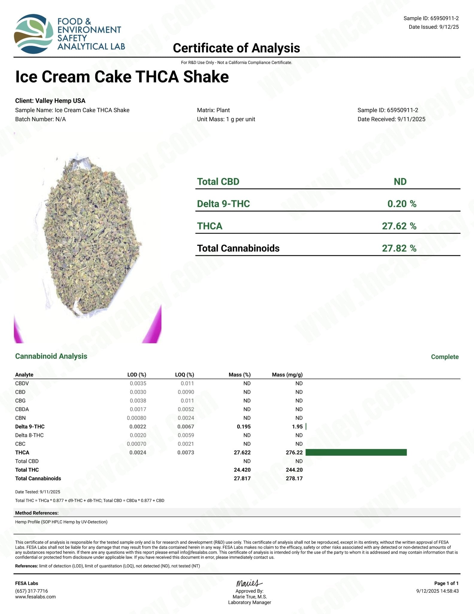 No 2. Ice Cream Cake THCa Shake Wholesale - Valley Hemp