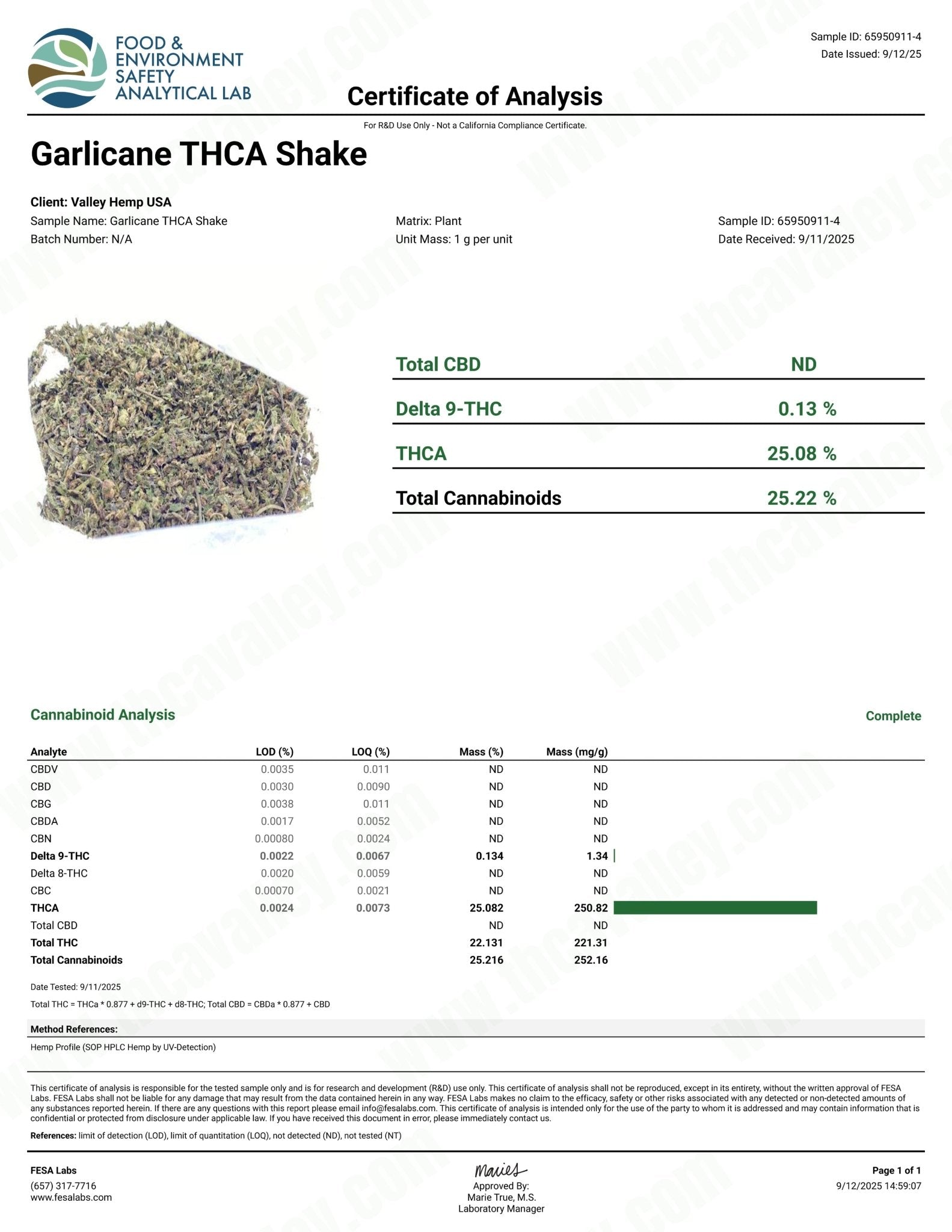 No 4. Garlicane THCa Indoor Trim Wholesale - Valley Hemp