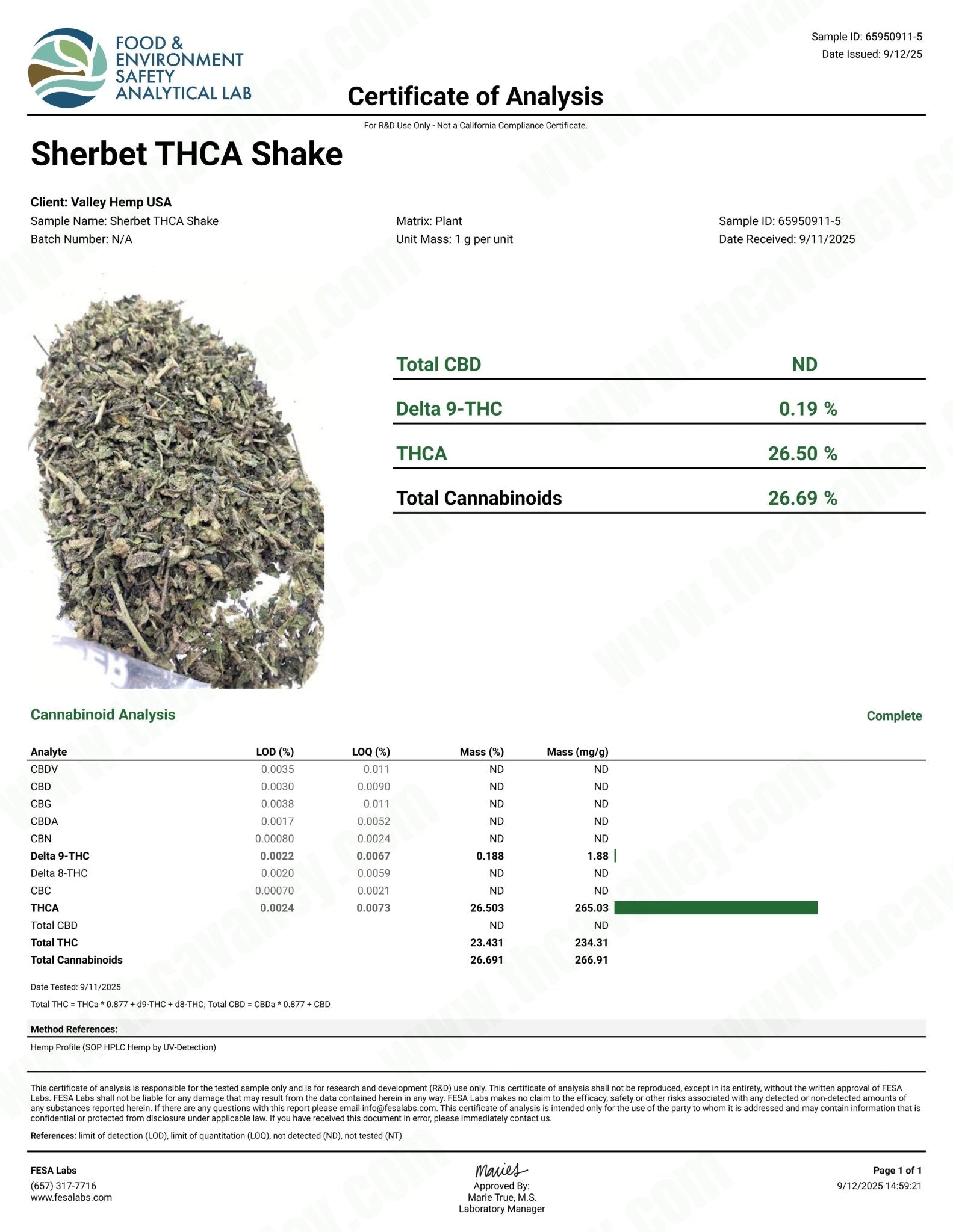 No 5. Sherbet THCa Indoor Trim Wholesale - Valley Hemp