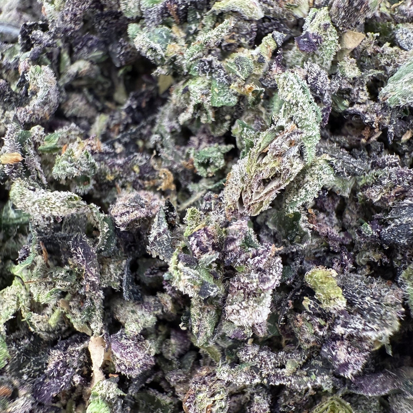 No 5. Sherbet THCa Indoor Trim Wholesale - VALLEY HEMP